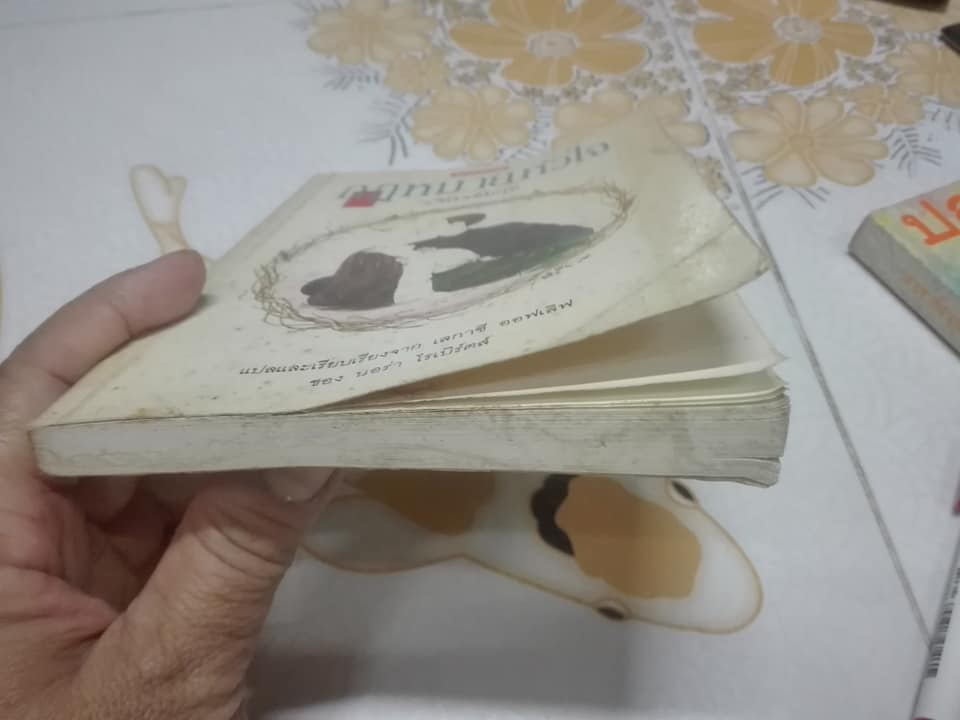 กฎหมายหัวใจ (Legacy of Love) ผลงานของ นอร่า โรเบิร์ตส์ - แปลและเรียบเรียงโดย ว.วินิจฉัยกุล - หนังสือมีตำหนิ