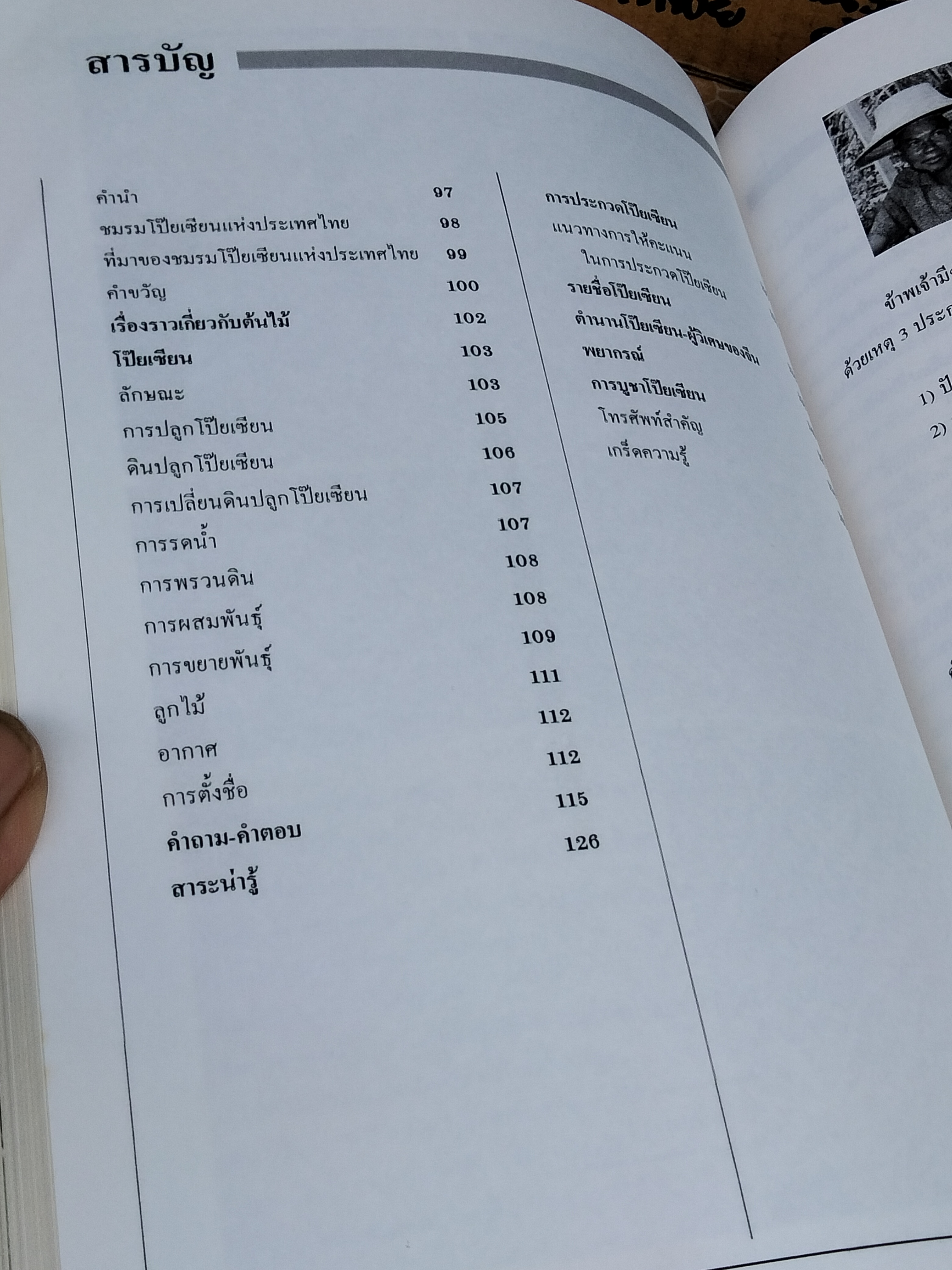 โป๊ยเซียน ต้นไม้เสี่ยงทาย เล่ม 2 โดย มณฑล เนตรสว่าง พิมพ์ปี พ.ศ 2537