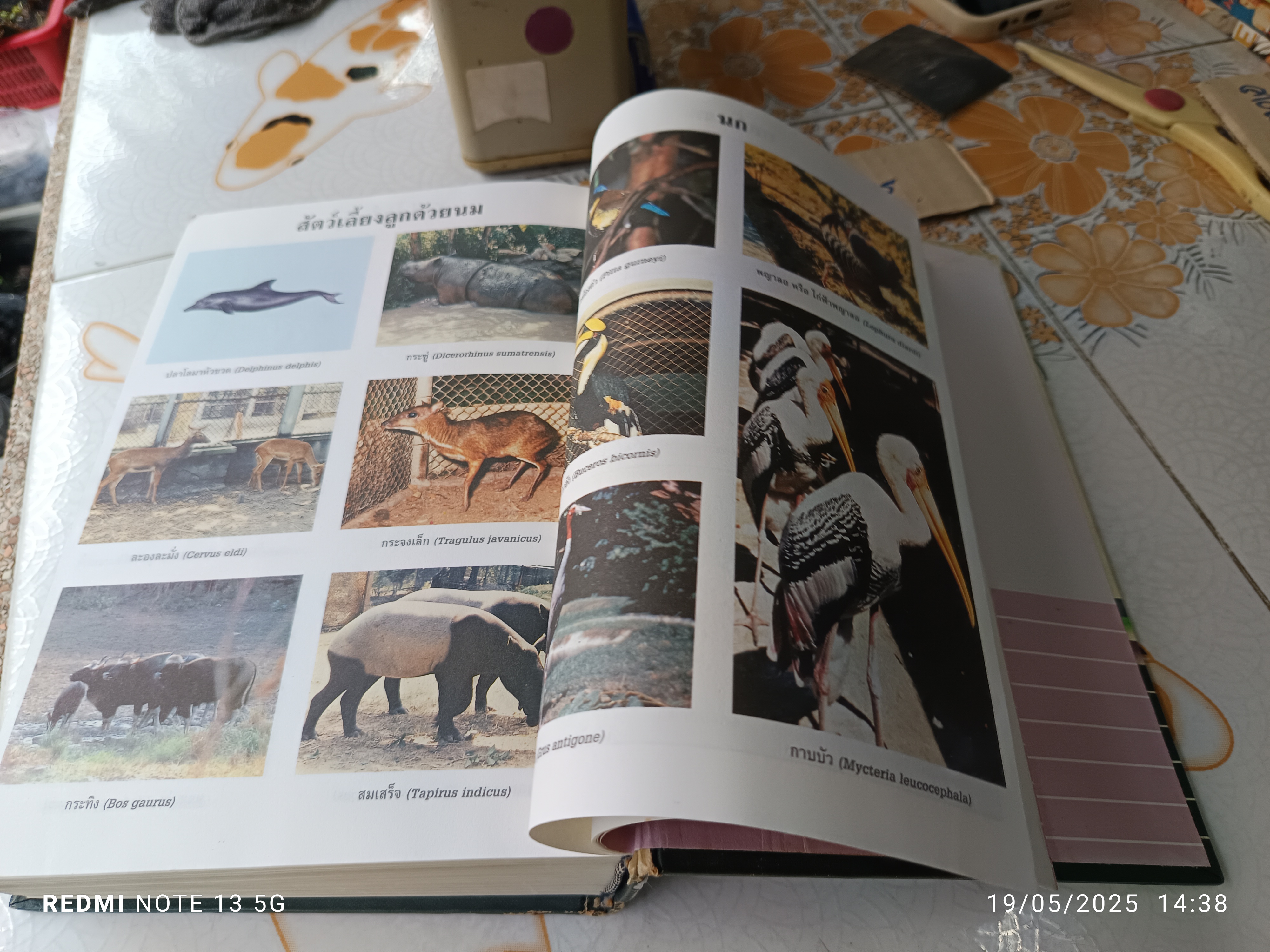 พจนานุกรม ฉบับราชบัณฑิตยสถาน พ.ศ.2525