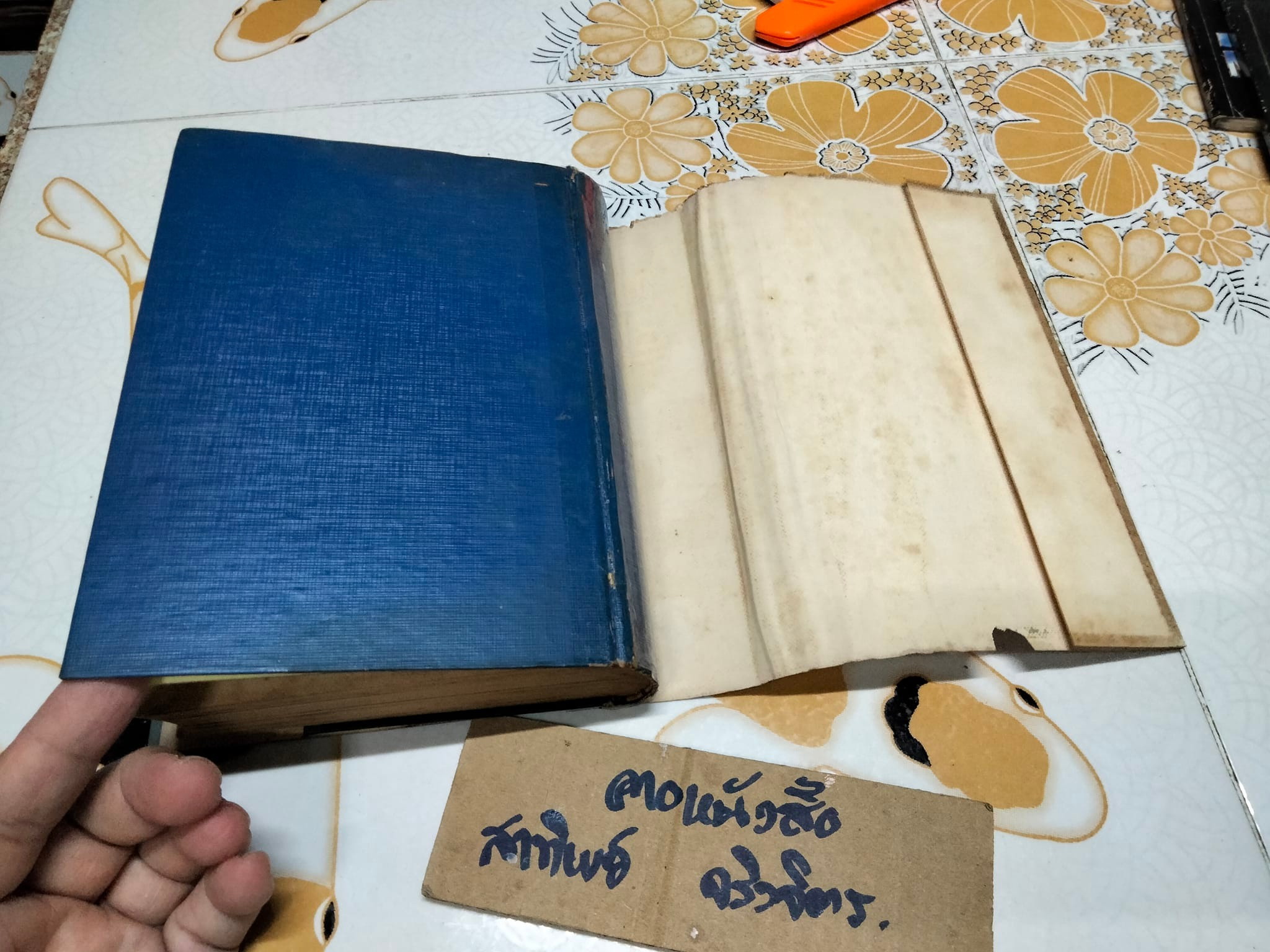 ฮิตเลอร์ จอมเผด็จการ โดย วิสันต์ บัณฑะวงศ์