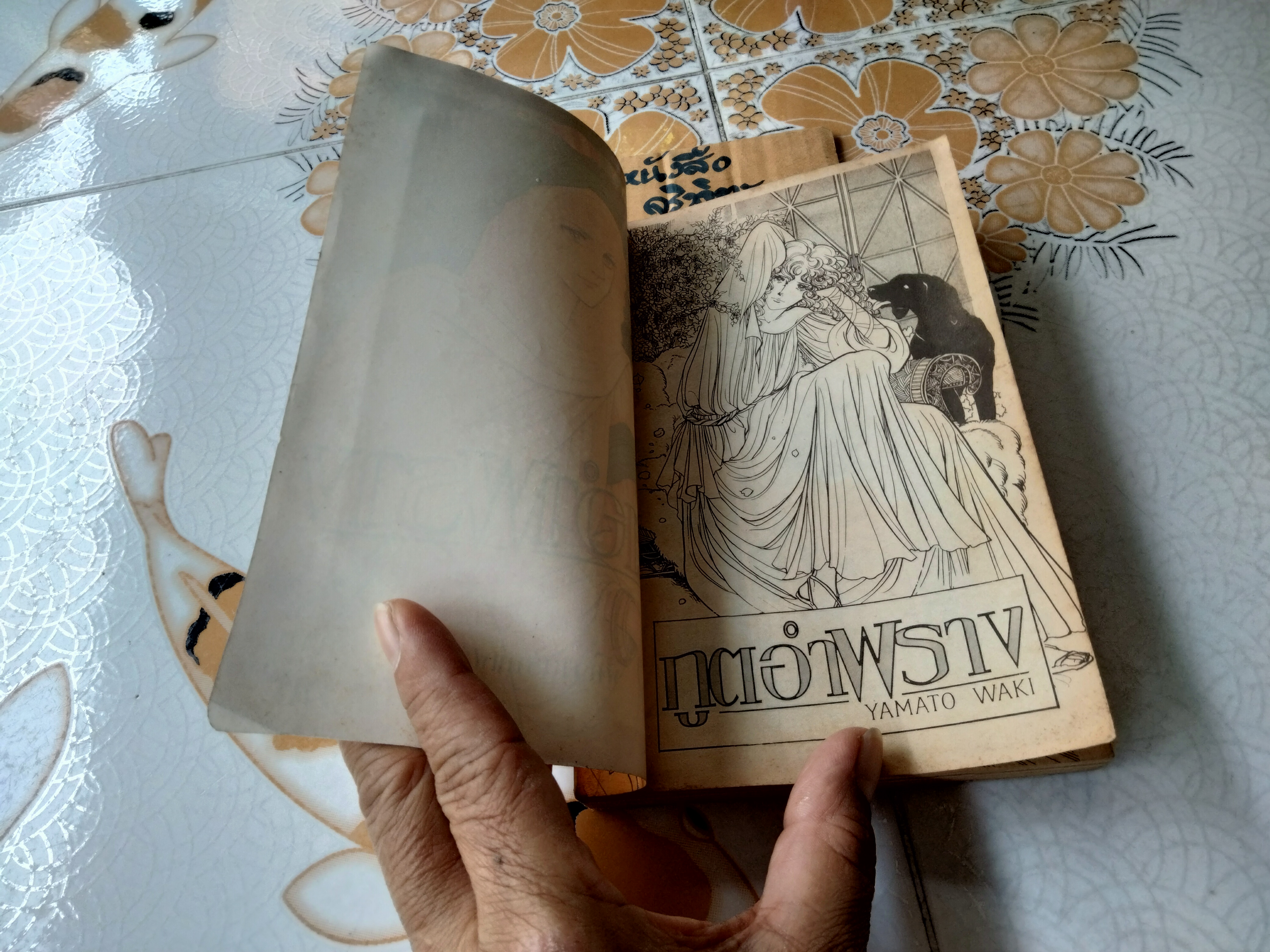 ภูติอำพราง (เล่มเดียวจบ) ยามาโตะ วากิ **สินค้าหมด**