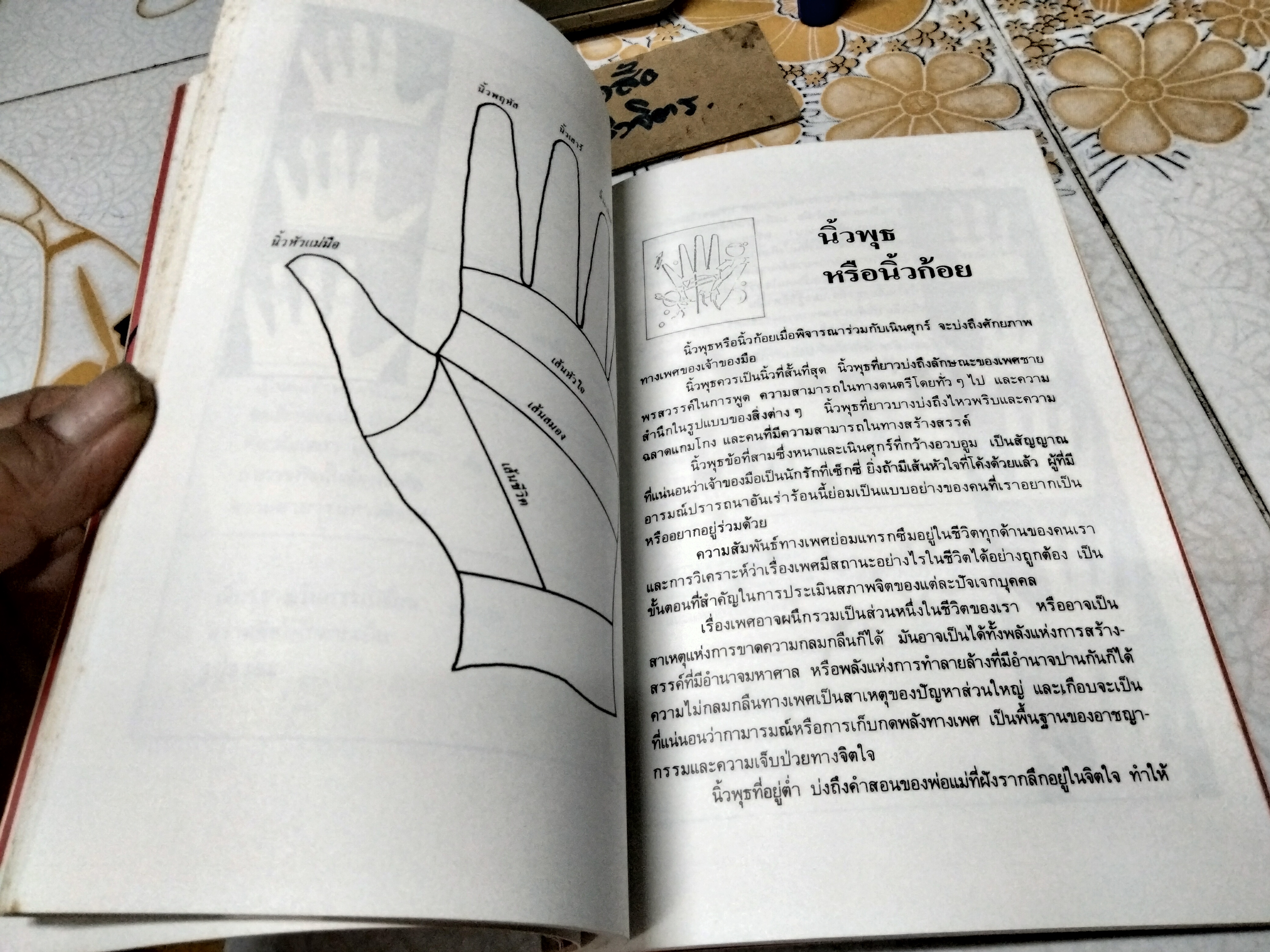 สนุกกับลายมือ SALLY FRY & ROSALIND CRAIG เขียน ดาวเนปจูน แปล