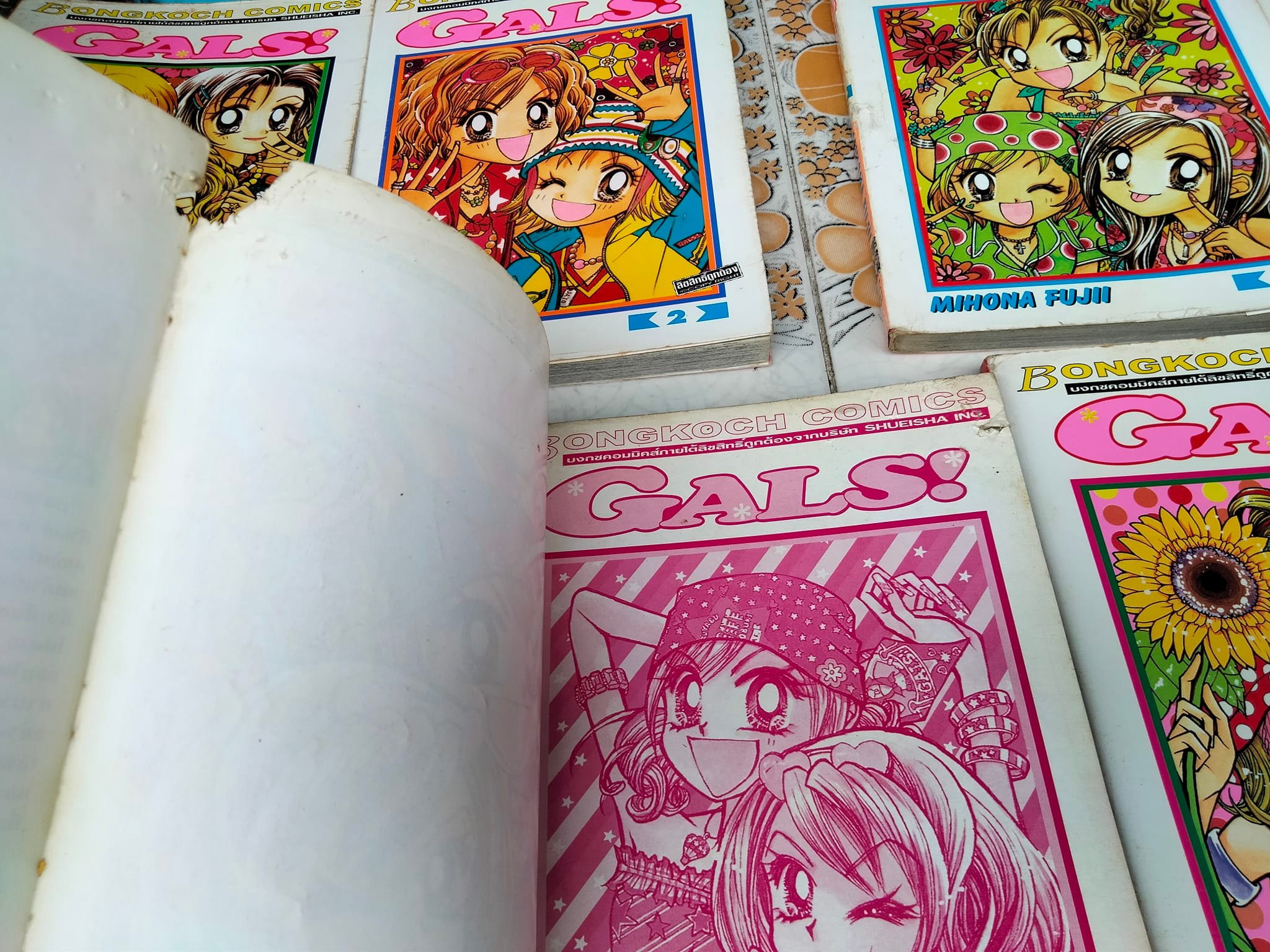 GALS 10 เล่มจบ (บ้าน+เช่า)