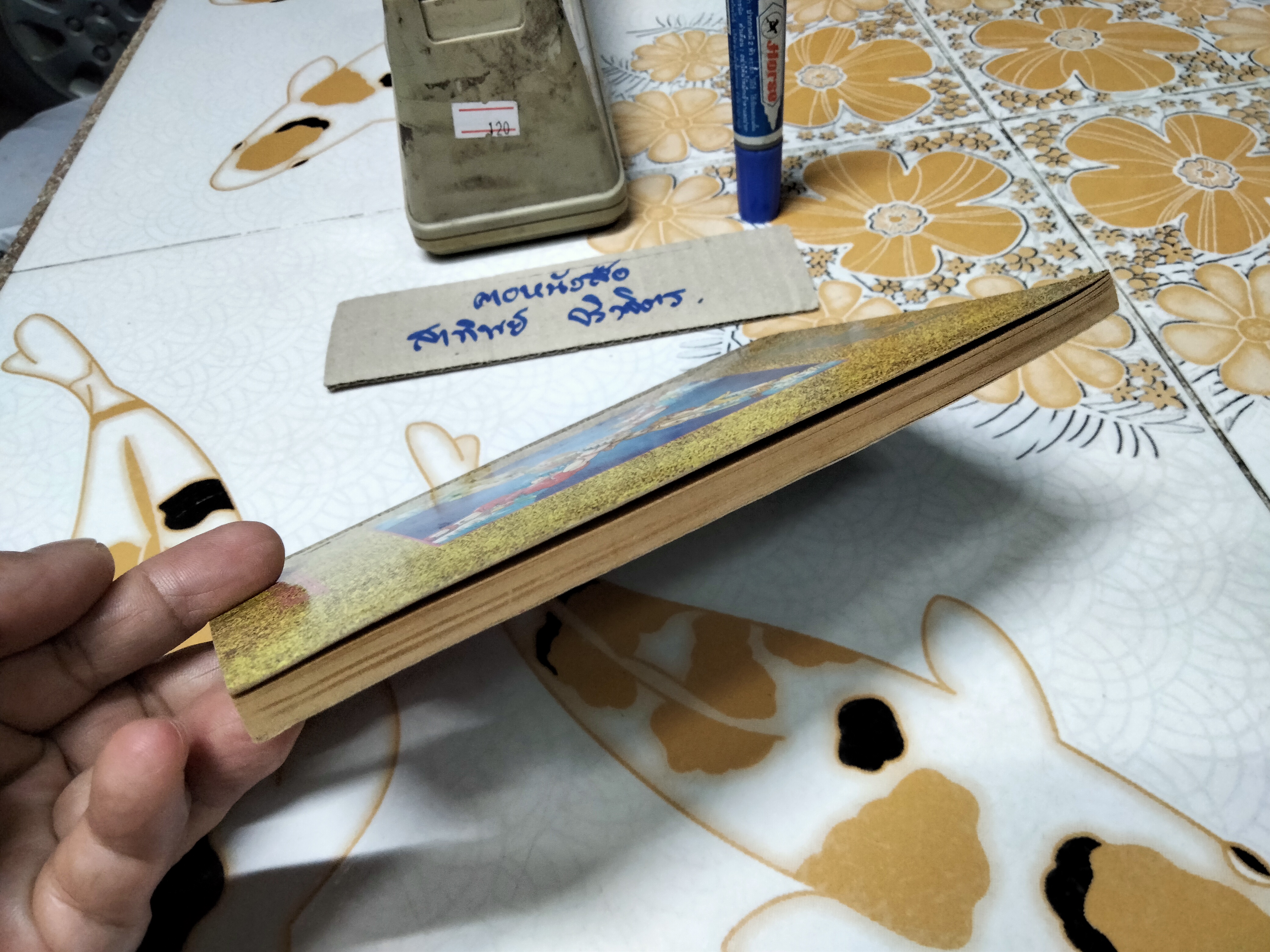 เศษการ์ตูน Saint Seiya เซนตเซยา เทพบุตรดาวหาง , มิตรไมตรี (เล่มบาง) ชุด 2/ 3 **สินค้าหมด**