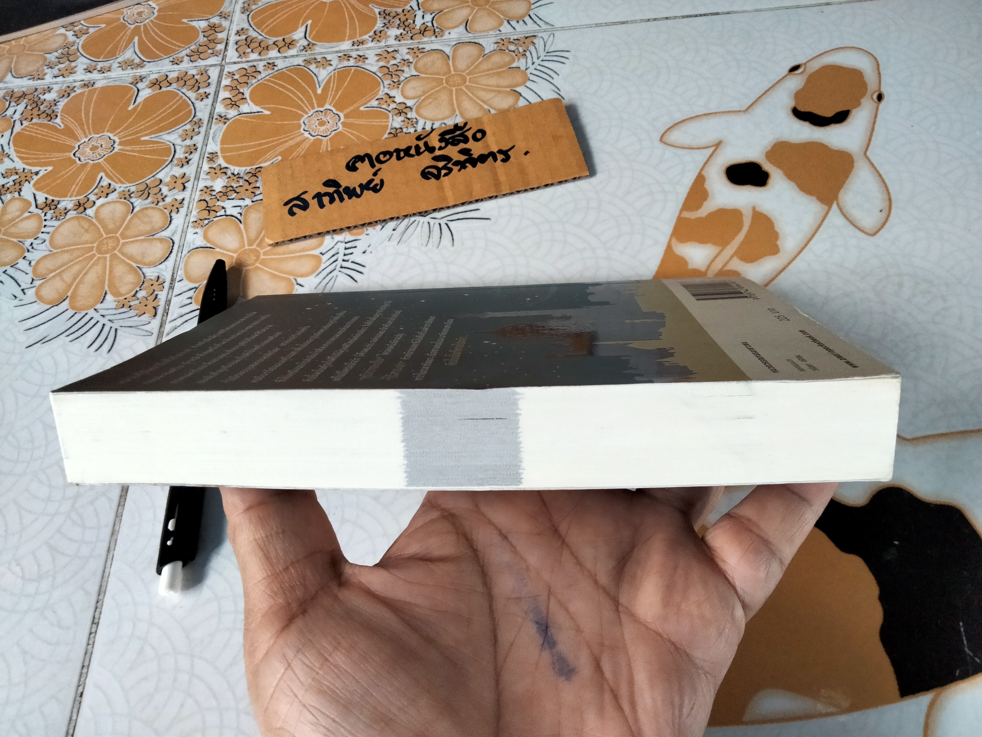 ล่องหน (Vanished) ชีลา ชาริ เขียน ลลิตา ผลผลา แปล **สินค้าหมด**