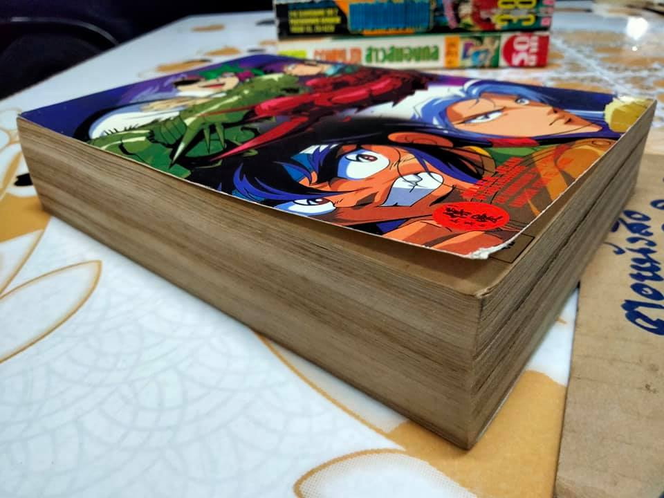 ดาบสยบมาร (เล่มเดียวจบ) **สินค้าหมด**