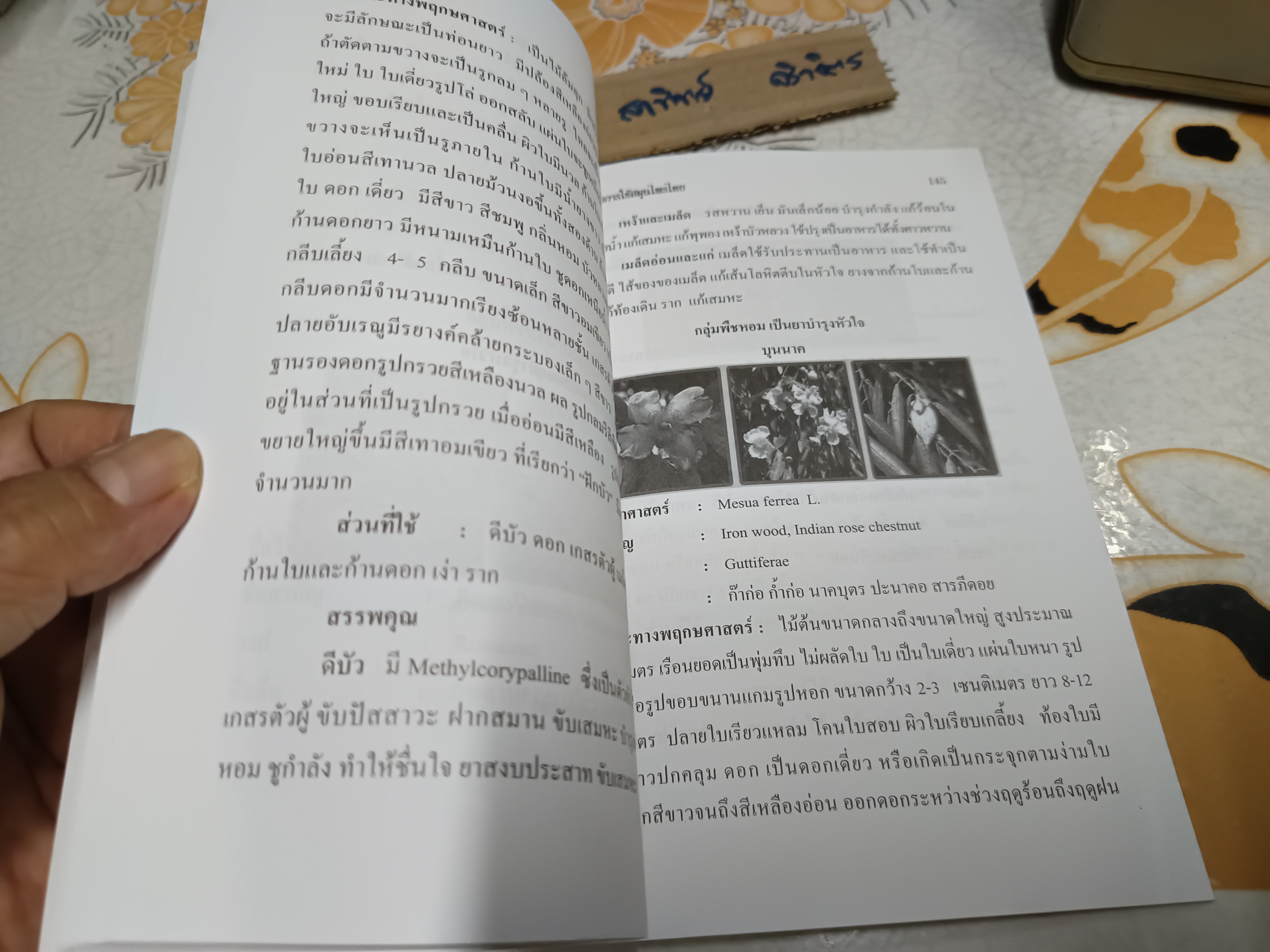 เคล็ดลับการใช้สมุนไพรไทย โดย อารีลักษณ์ อุดมแก้ว พิมพ์ครั้งแรกพ.ศ 2555