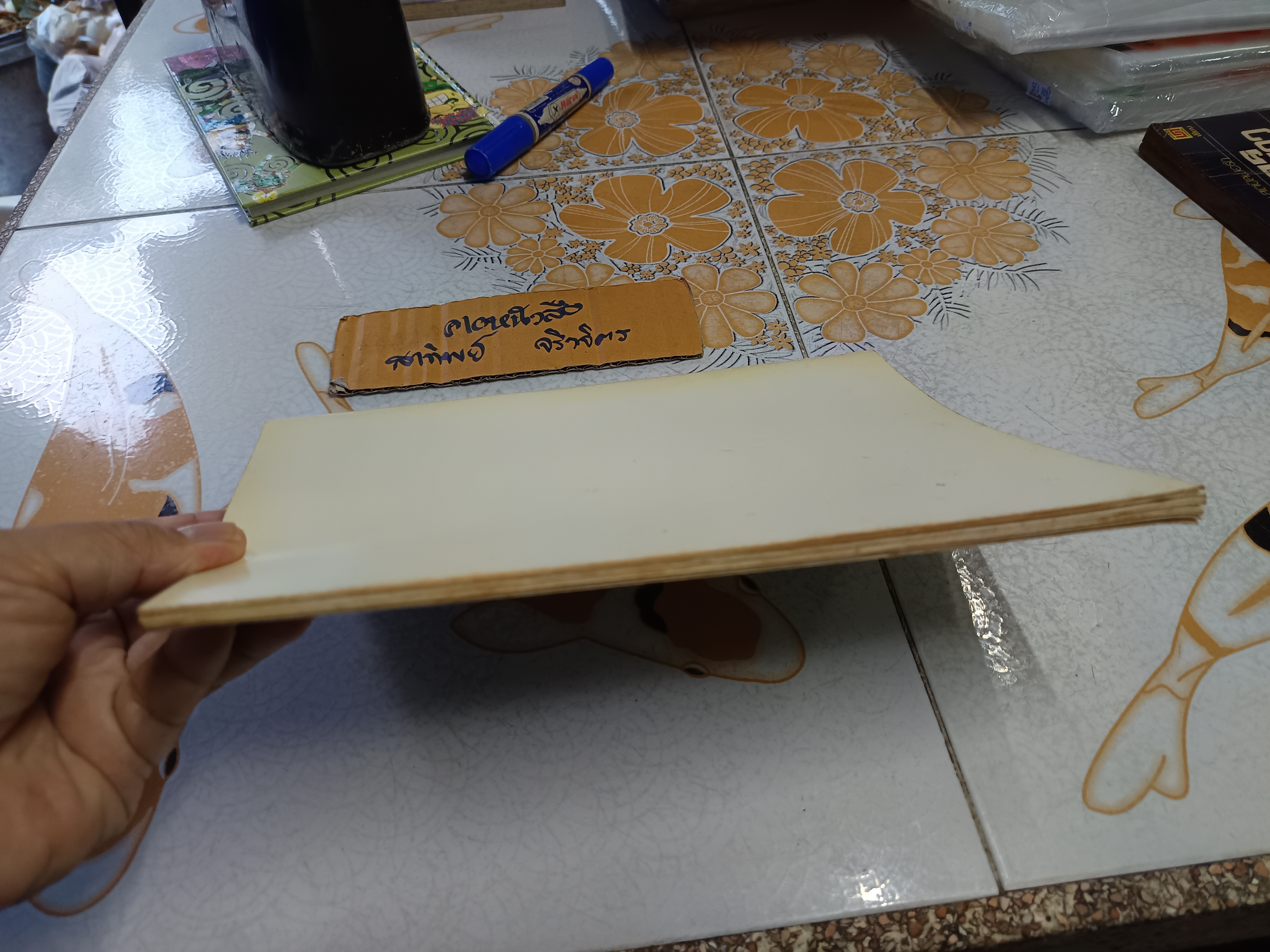 หนังสืออนุสรณ์ คุณแม่หนูทับ พุฒาพิทักษ์ วันพุธที่ 11 มีนาคม 2535 #ตำราแมว