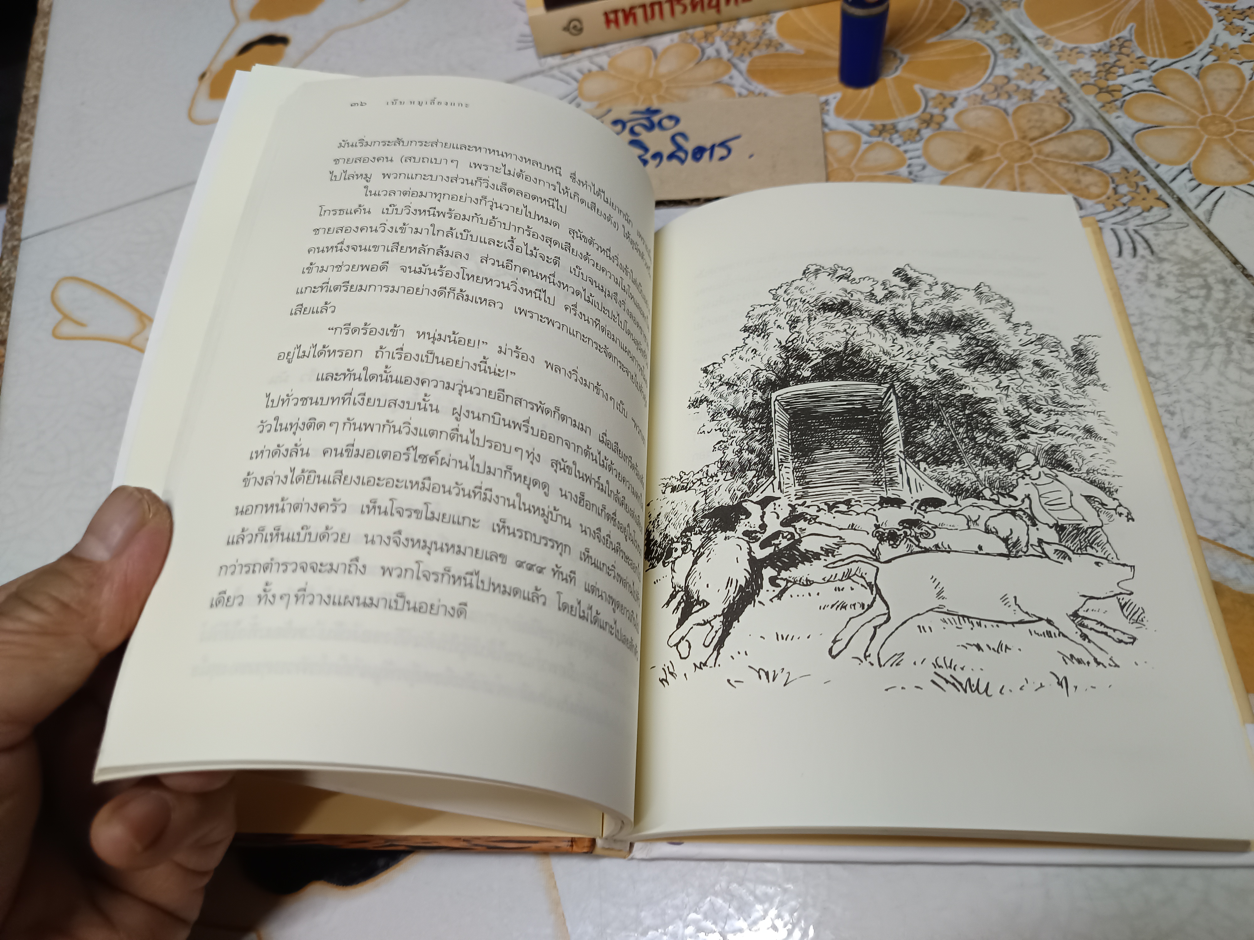 เบ๊บ หมูเลี้ยงแกะ The Sheep Pig ผู้แต่ง: ดิค คิง-สมิธ ผู้แปล : สาธิตา / แพรวเยาวชน ใบรองปกหลังมีรอยเขียนด้วยปากกาสี **สินค้าหมด**