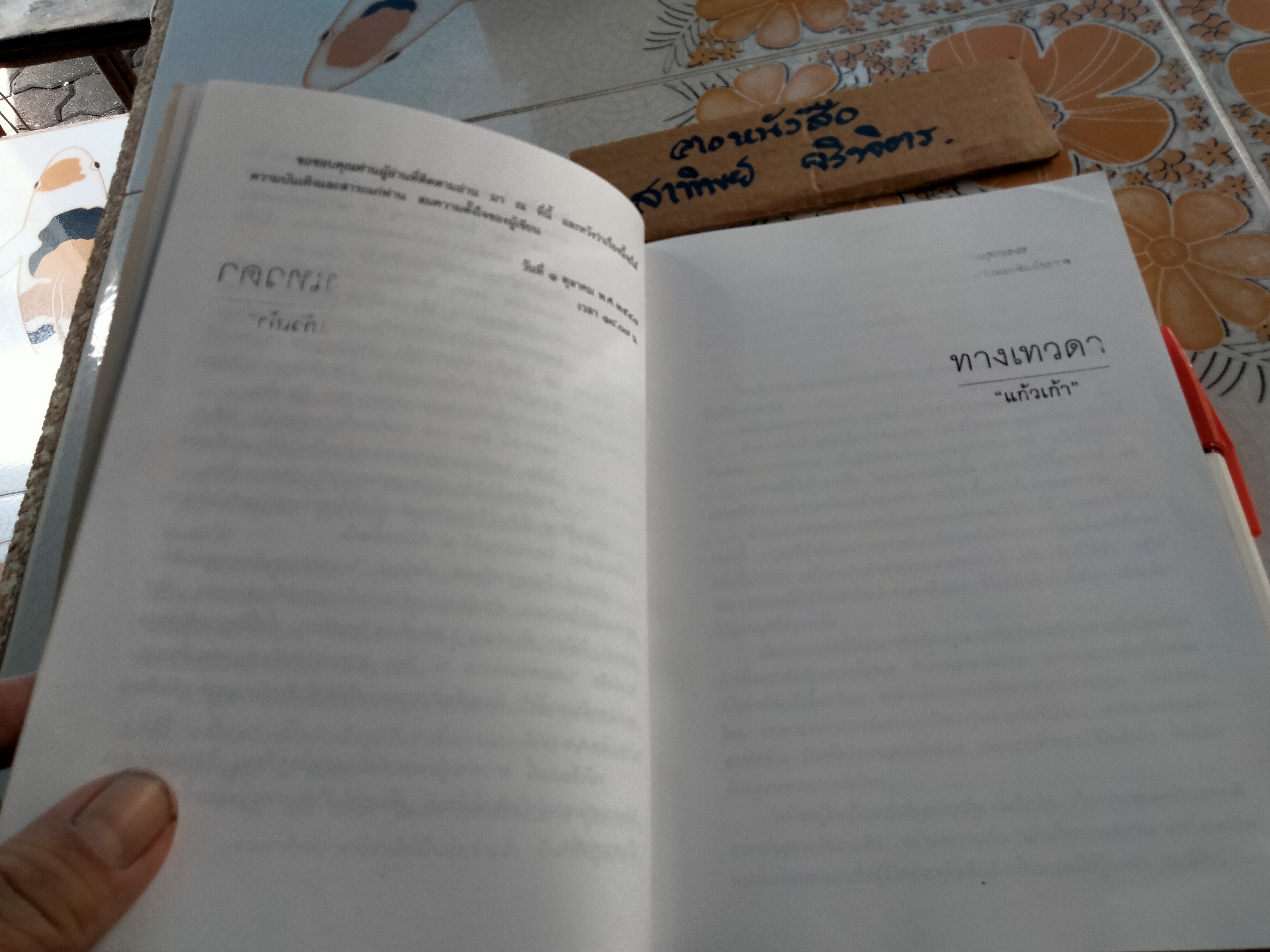 ทางเทวดา - แก้วเก้า (พิมพ์ครั้งแรก พ.ศ.2547) **สินค้าหมด**