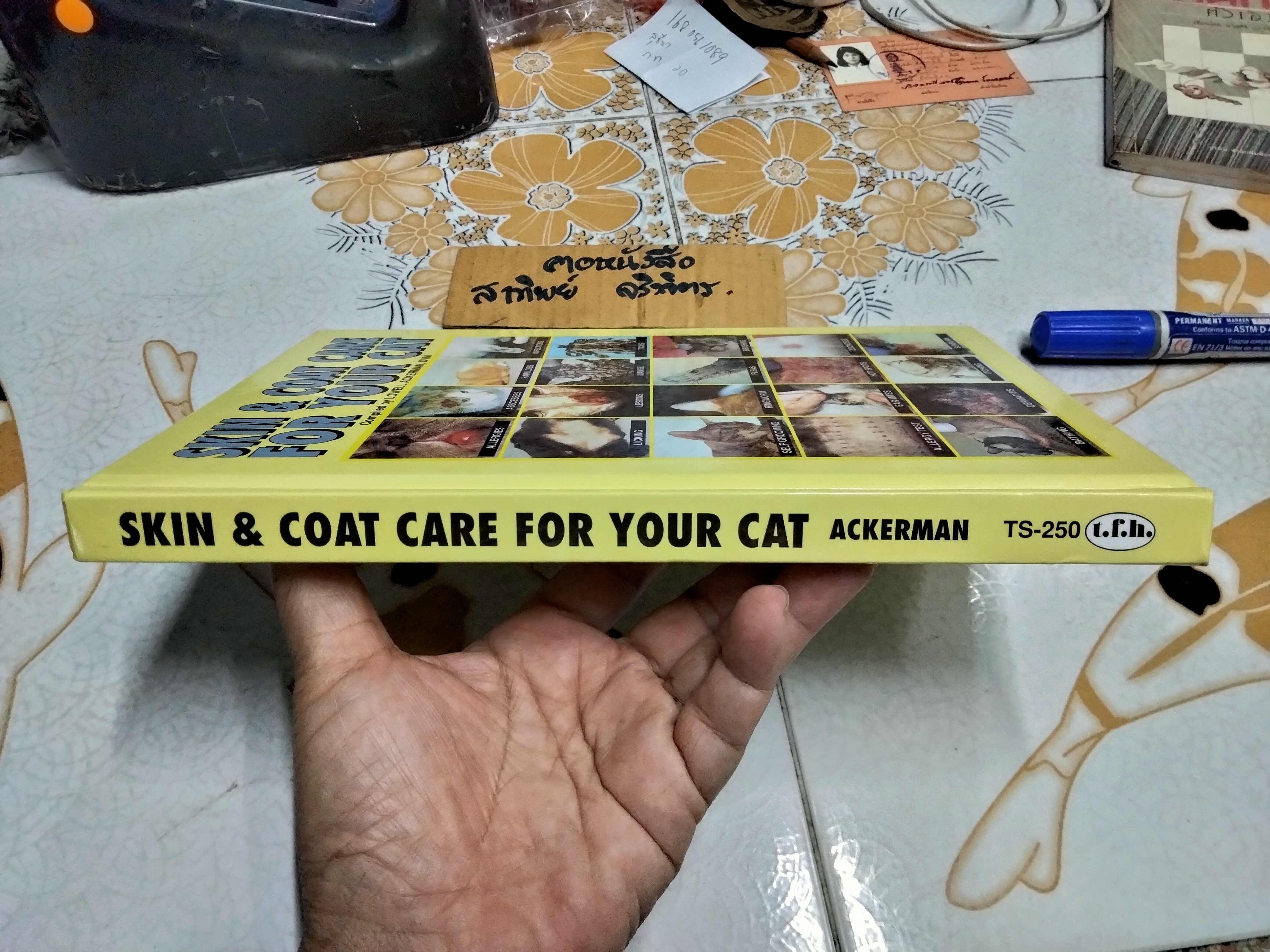 Skin & Coat Care for Your Cat Compiled by Lowell Ackerman