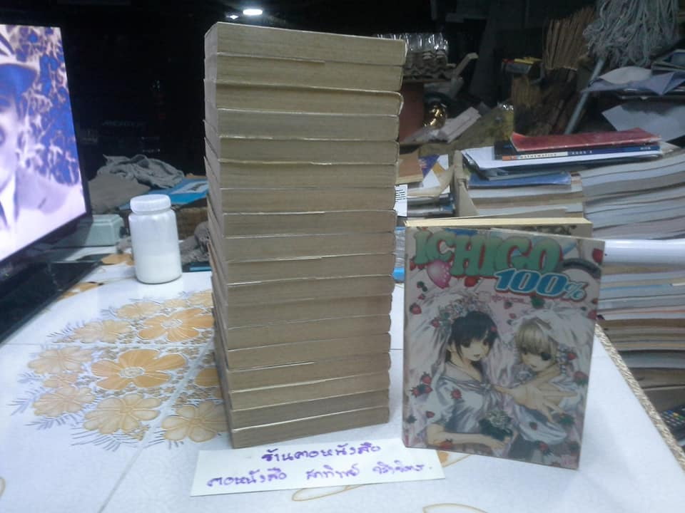 การ์ตูน ICHIGO 100 % - 19 เล่มจบ (สนพ.ANT)