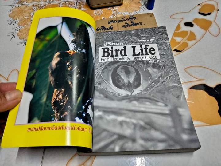 ชีวิตนก Bird Life จากบันทึก เเละความทรงจำ เล่ม 3 โดย สุธี ศุภรัฐวิกร พิมพ์ปี พ.ศ.2540