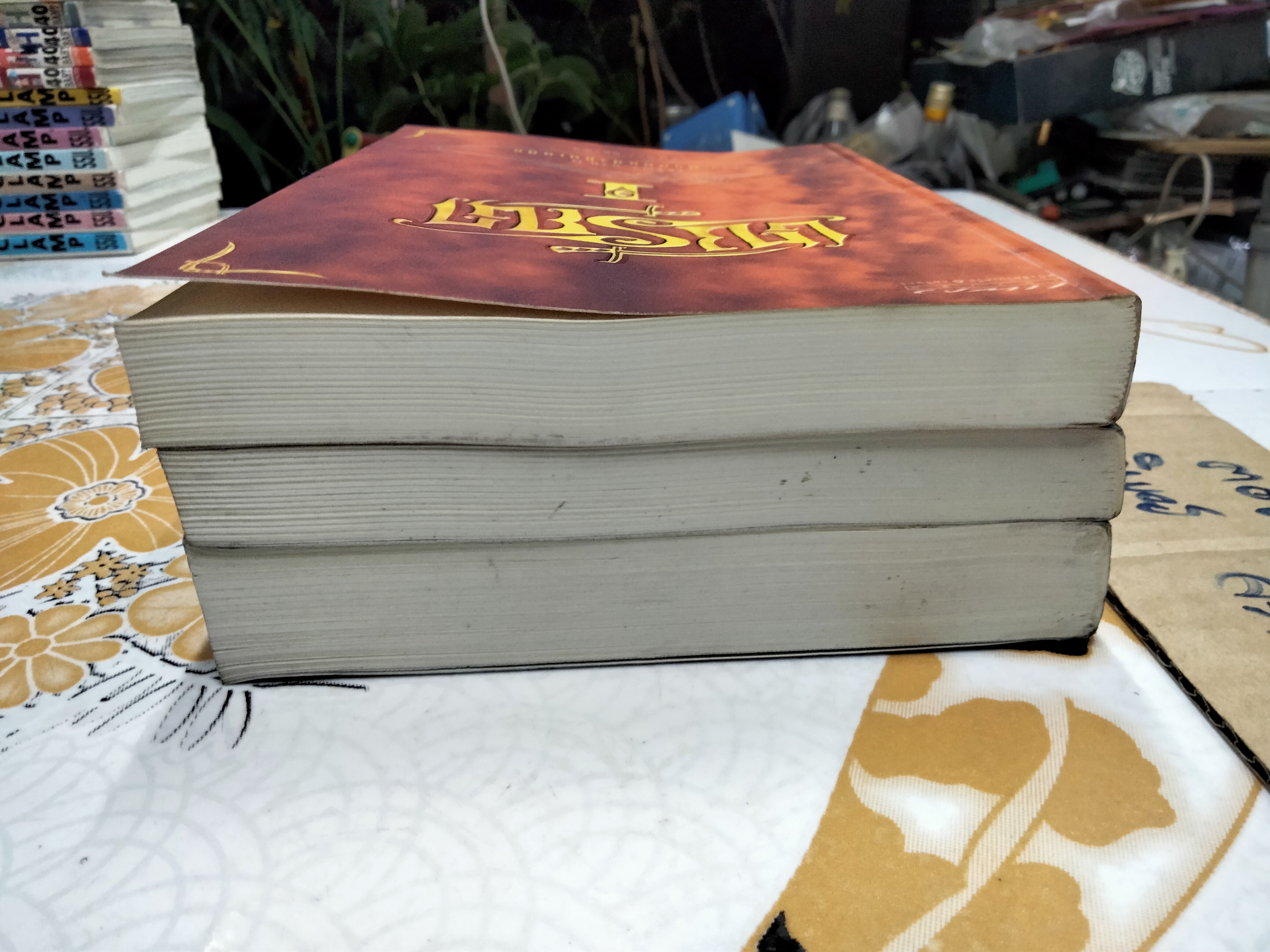 วรรณกรรมเยาวชน เซรีญา (3 เล่มจบ-พิมพ์แรก พ.ศ.2548) โดย พัณณิดา ภูมิวัฒน์