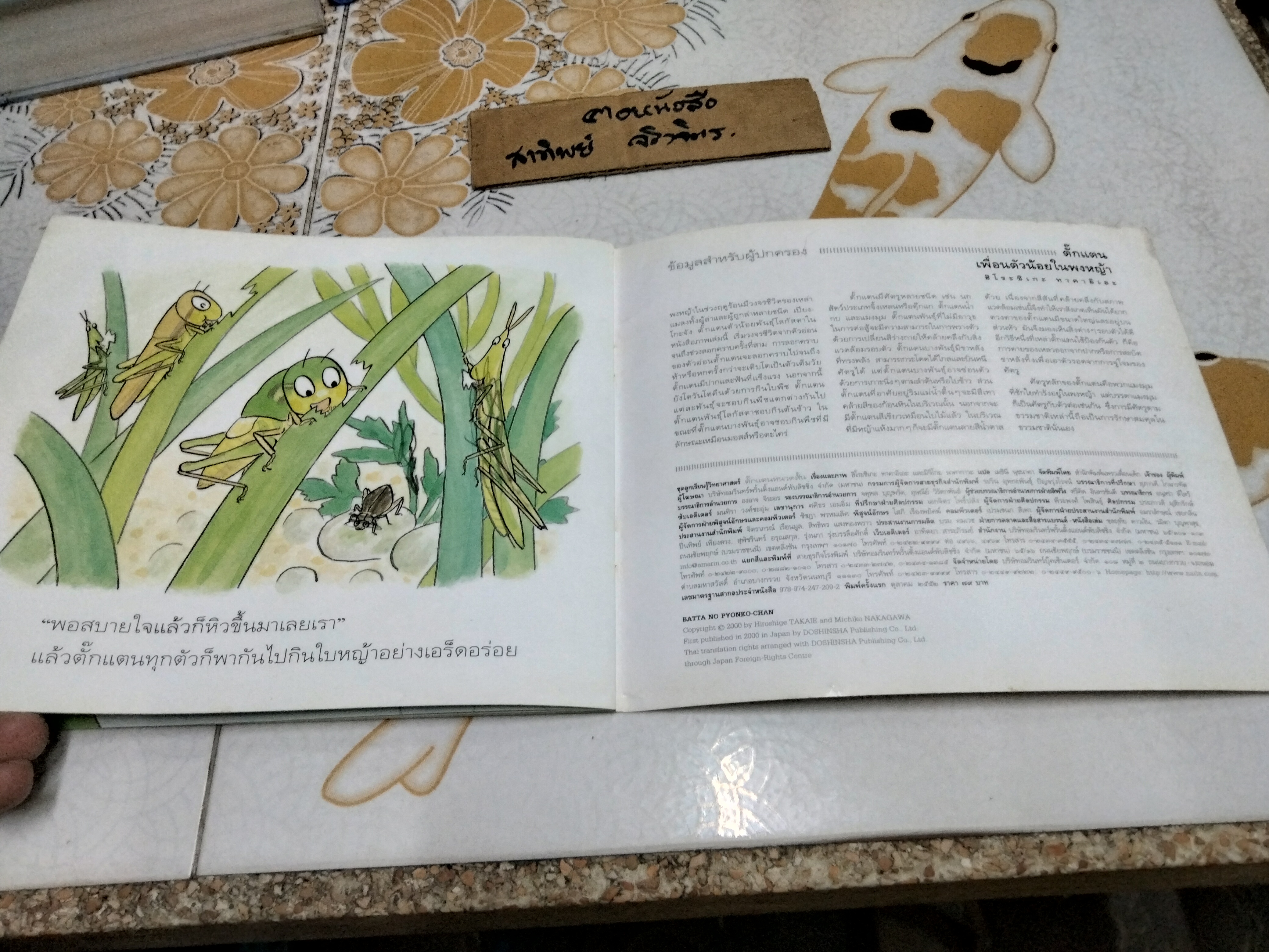 ตั๊กแตนหนวดสั้น หนังสือชุด ลูกรักเรียนรู้วิทยาศาสตร์