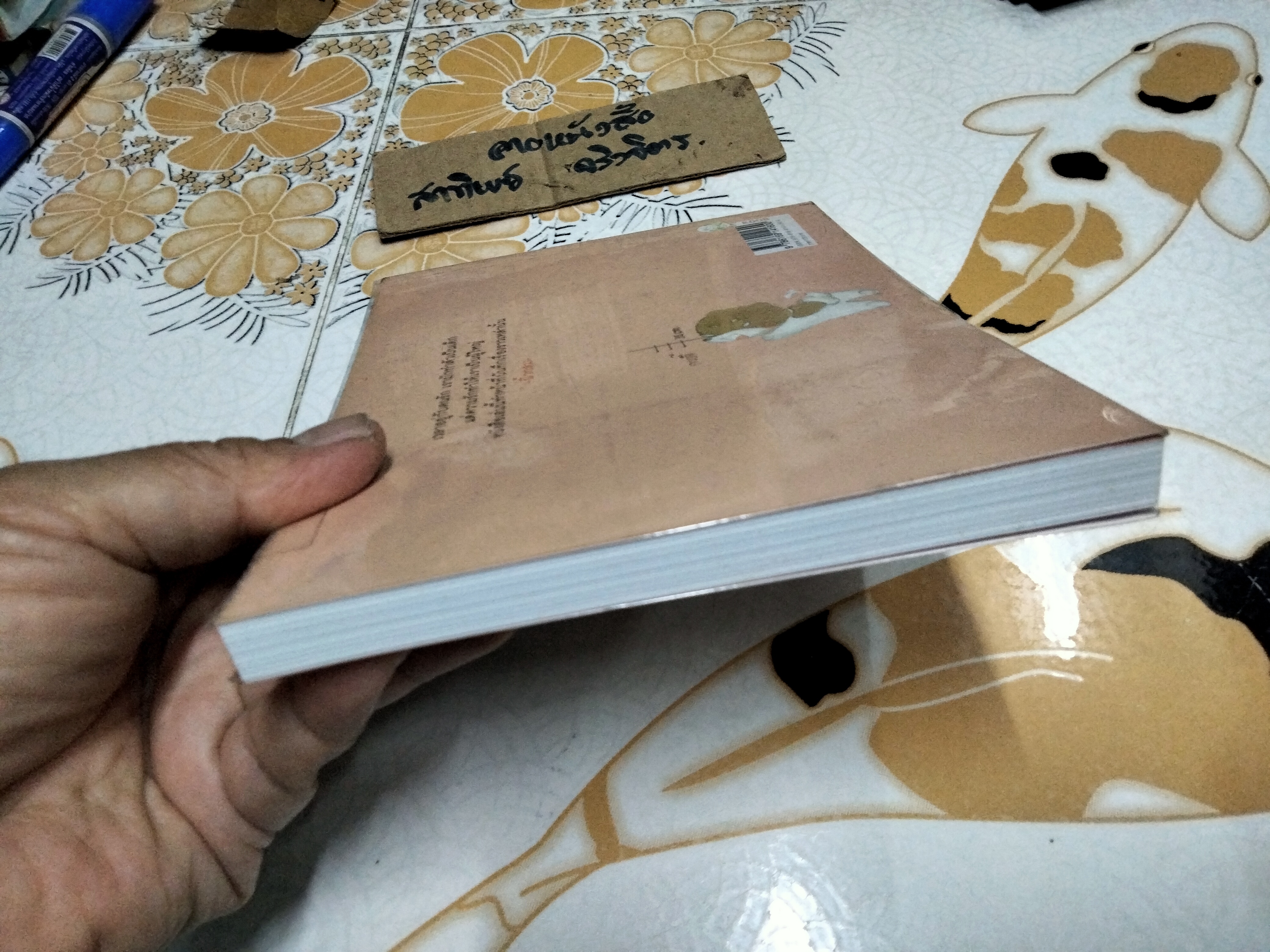 เราจะเติบโตไปด้วยกัน โดย ชิงชิง กฤชเทียมเมฆ พิมพ์ปี พ.ศ 2555 สนพ .KOOB