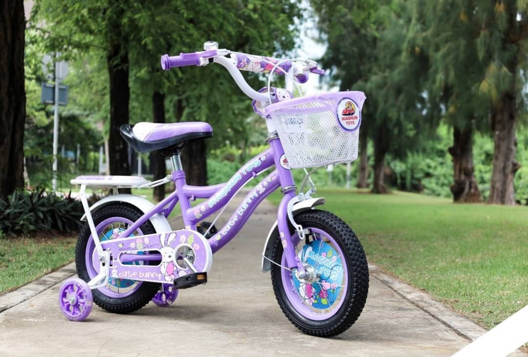 จักรยานสาวน้อย มีตะกร้า