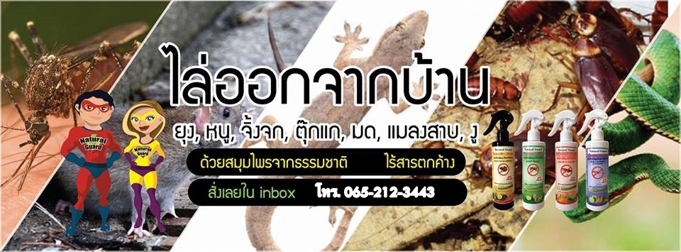 ปกป้องบ้านคุณจากเจ้าวายร้าย