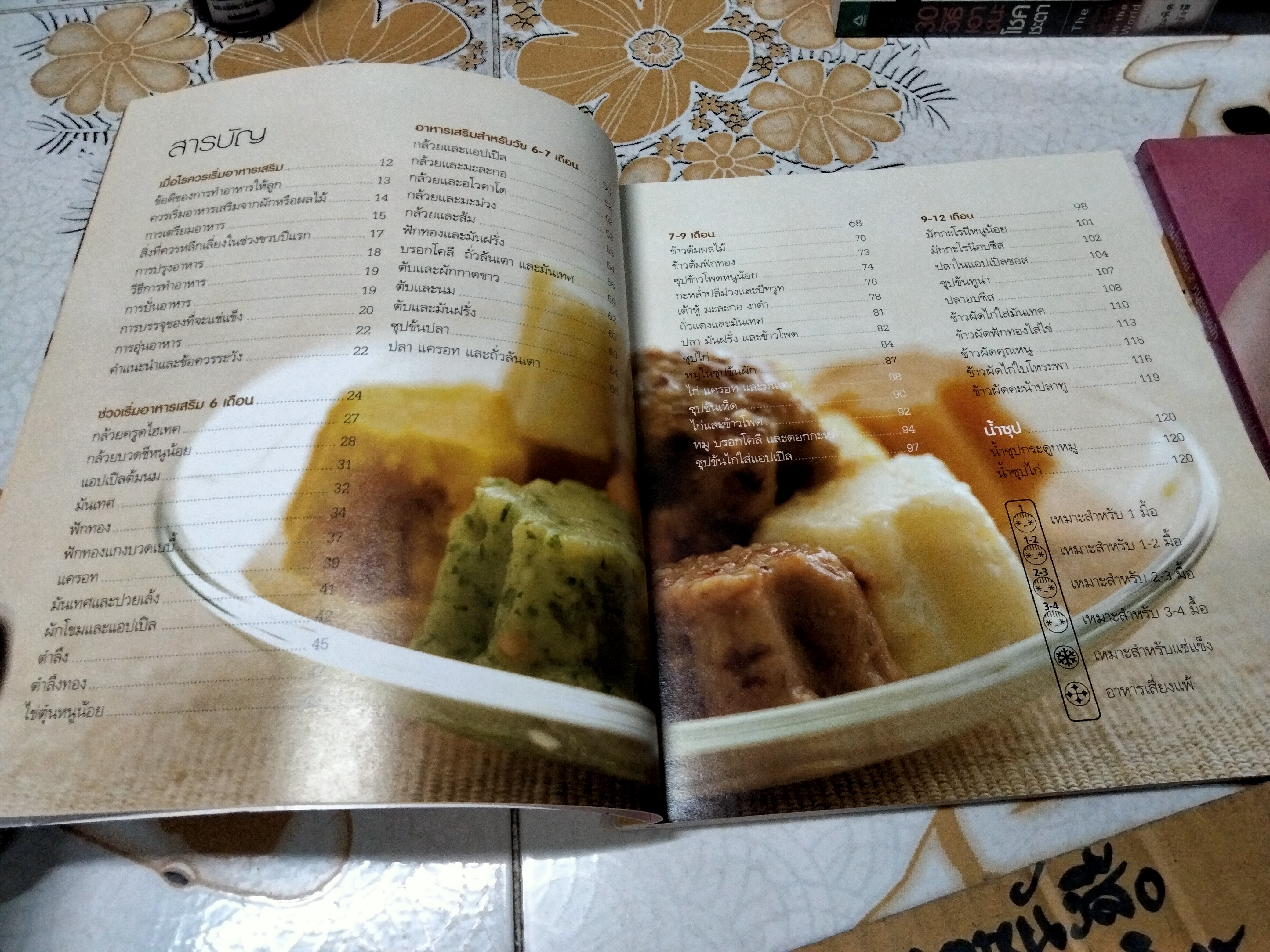 หม่ำอร่อย เล่ม 1-2 HEALTHY BABY PUREES โดย ปาหนัน เดชเพียร