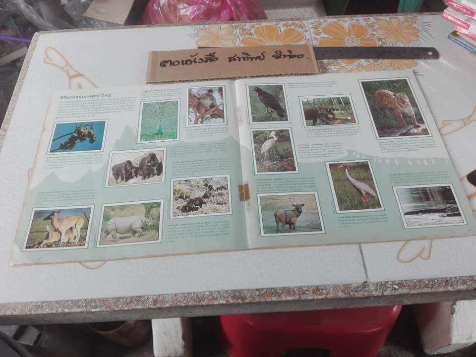 สมุดสะสมสติกเกอร์ ชีวิตสัตว์โลก (แปะครบ 240 รูป) ** สินค้าหมด**