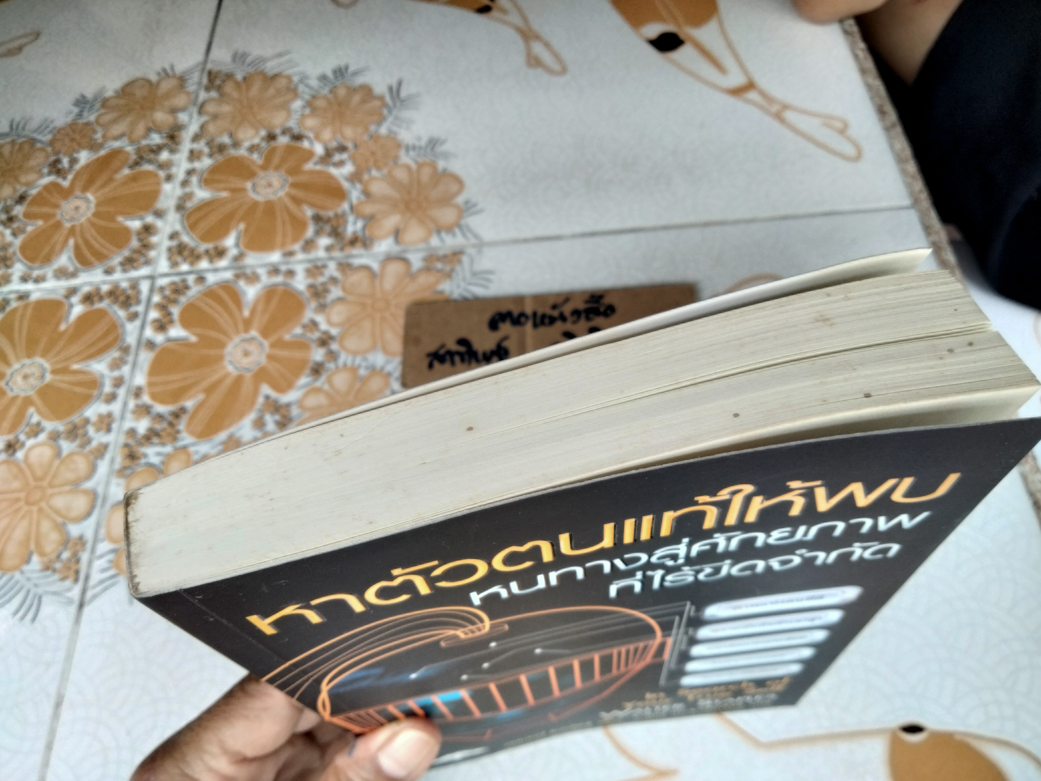 หาตัวตนแท้ให้พบ หนทางสู่ศักยภาพที่ไร้ขีดจำกัด In Search of Your True Self , วอลเทอร์ สเตเปิลส์ เขึยน (มีคราบดินจากปลวกจางๆ-ตามรูป)