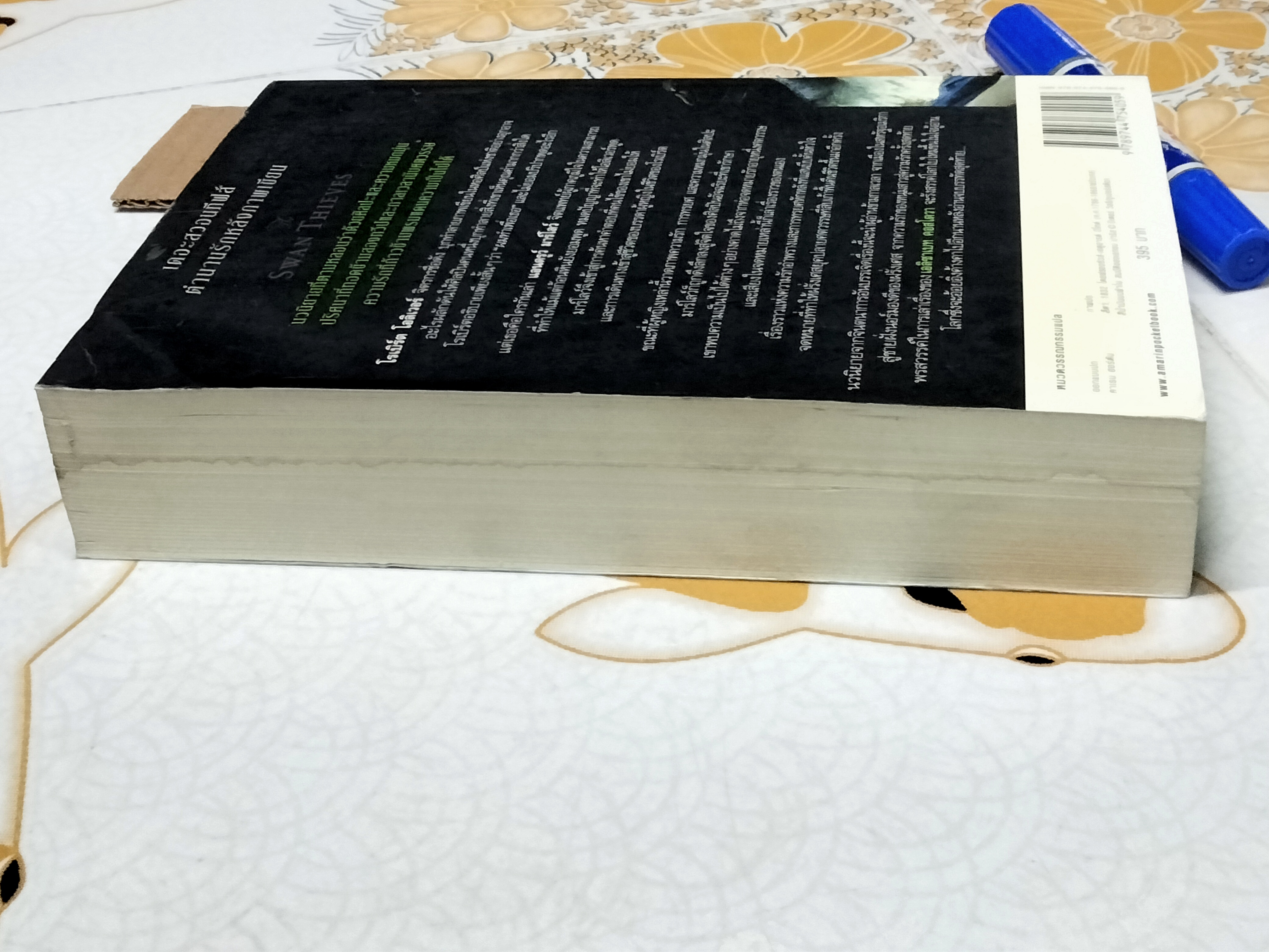 เดอะสวอนทีฟส์ ตำนานรักหลังภาพเขียน (Swan Thieves) - เอลิซาเบท คอสโตวา เขียน / ศศมาภา แปล (มีคราบน้ำ)