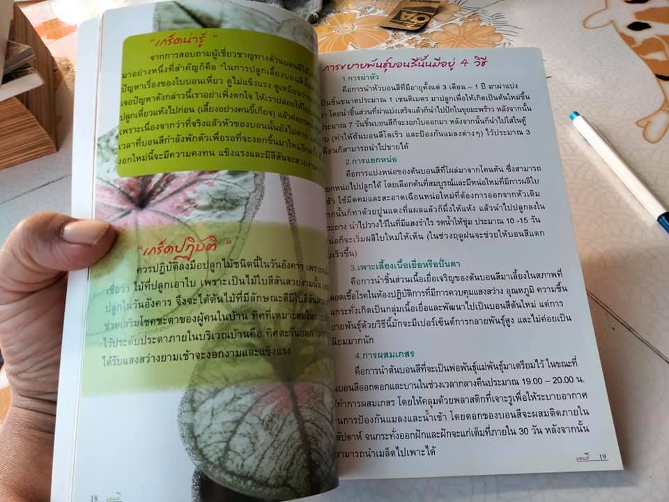 บอนสี - ร้อยพรรณพฤกษา โดย อ.เศรษฐมันตร์ กาญจนกุล พิมพ์ครั้งแรก พ.ศ.2550 **สินค้าหมด**