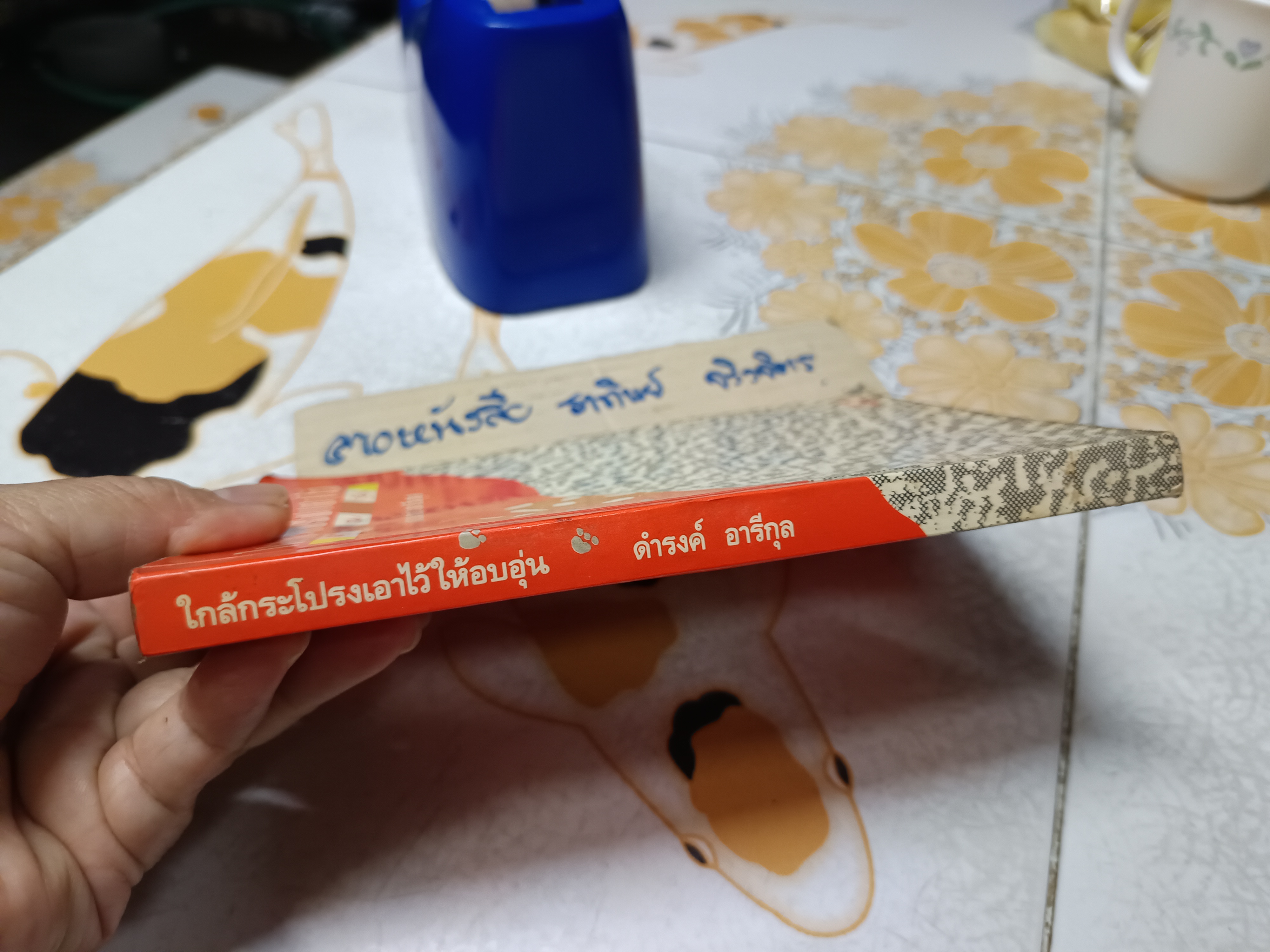 ใกล้กระโปรงเอาไว้ให้อบอุ่น โดย ดำรงค์ อารีกุล พิมพ์ครั้งแรก ไม่ระบุปีที่พิมพ์ สำนักพิมพ์ เทศภักดิ์ **สินค้าหมด**