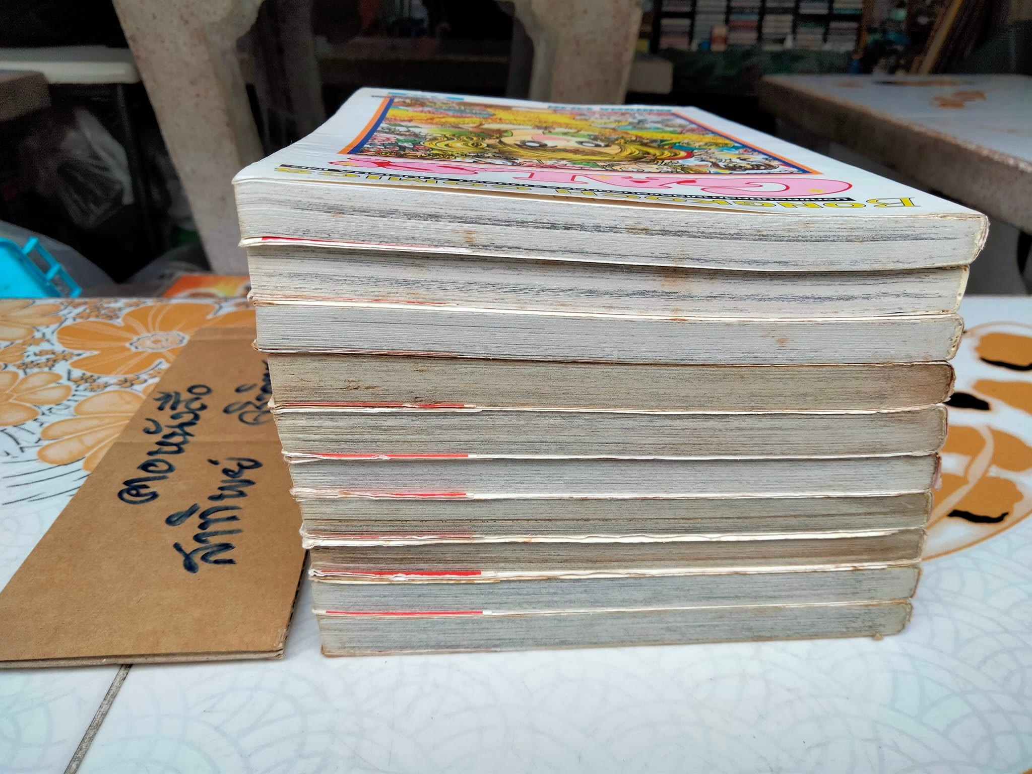 GALS 10 เล่มจบ (บ้าน+เช่า)