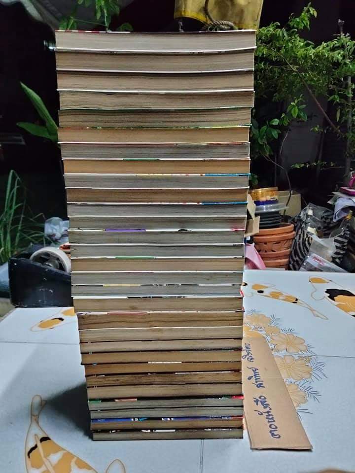 WORST เวอร์ส มีแค่ 1-29 ( ชุดเต็มมี 33 เล่มจบ) หนังสือบ้าน มีตำหนิบ้าง
