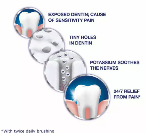 (Pre Order) Sensodyne® Sensitivity Toothpaste Extra Whitening for Sensitive Teeth 24/7 Protection 113g each - Twin Pack ยาสีฟัน เซ็นโซดายน์