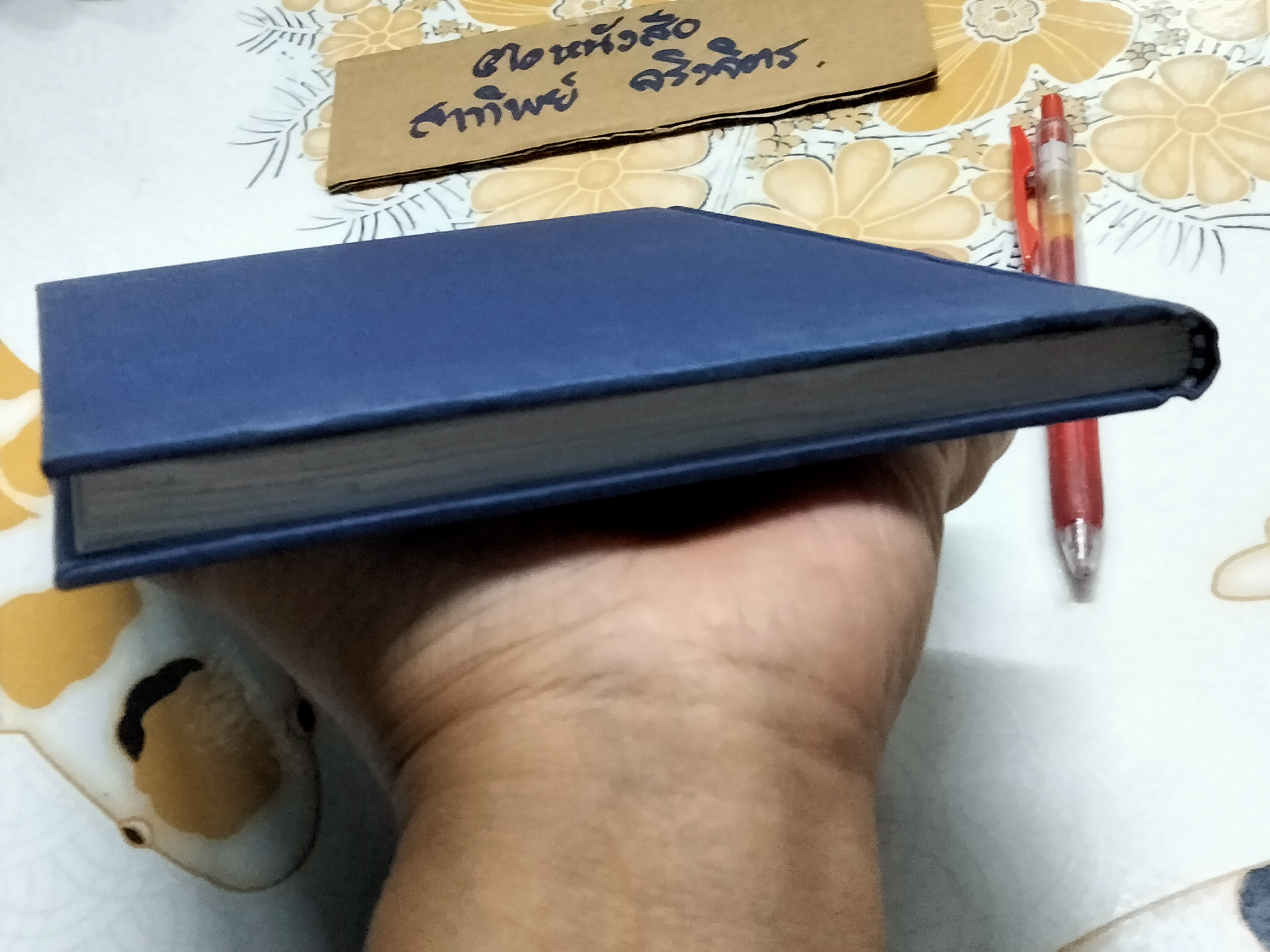 Have fun with Thai proverbs - Dr. Duangtip Somnapan Surintatip สนุกไปกับสุภาษิตไทย (2 ภาษาไทย อังกฤษ)