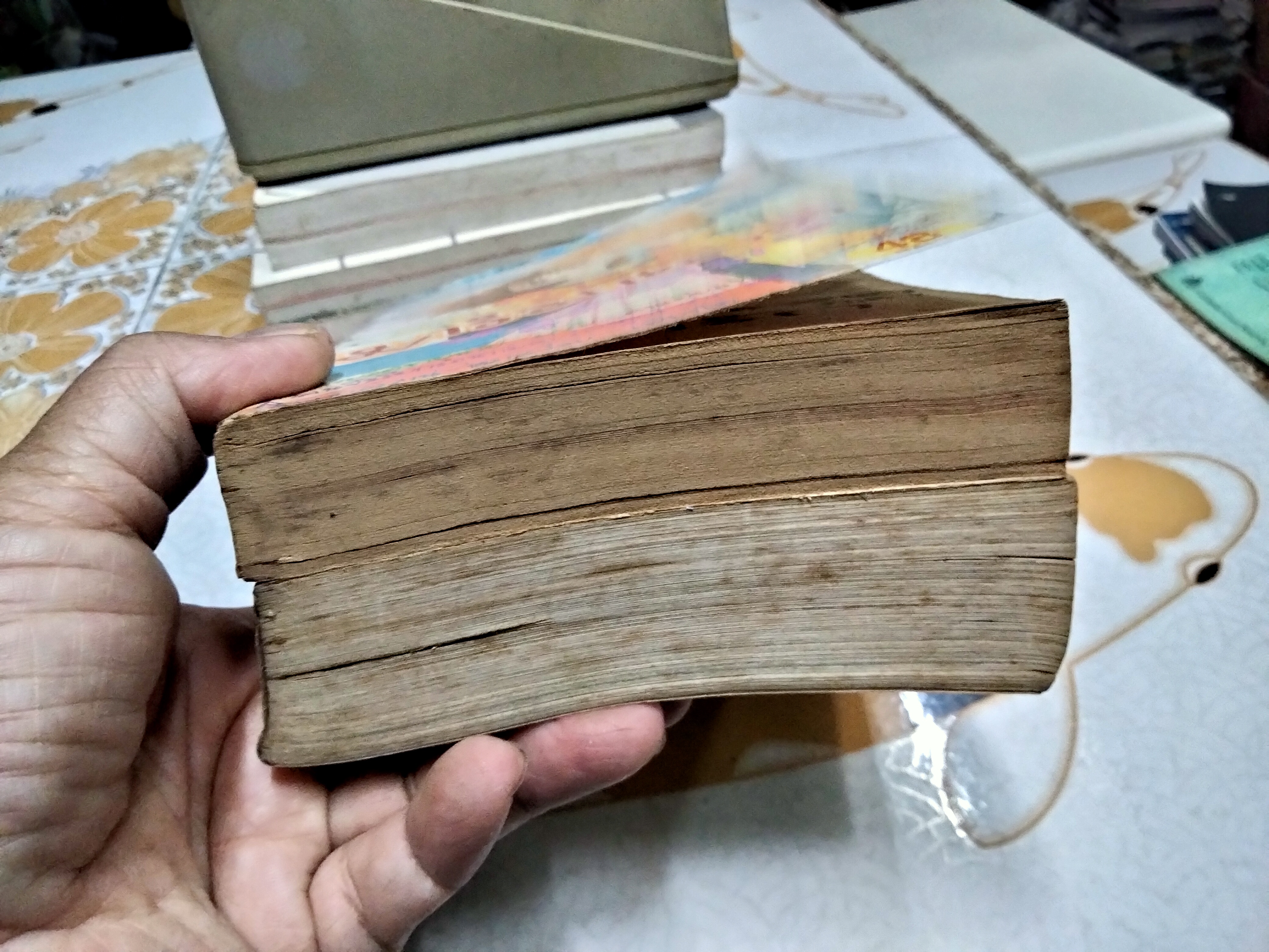 มาร์มาเลด สุดที่รัก (2 เล่มจบ) Yoshizumi Wataru