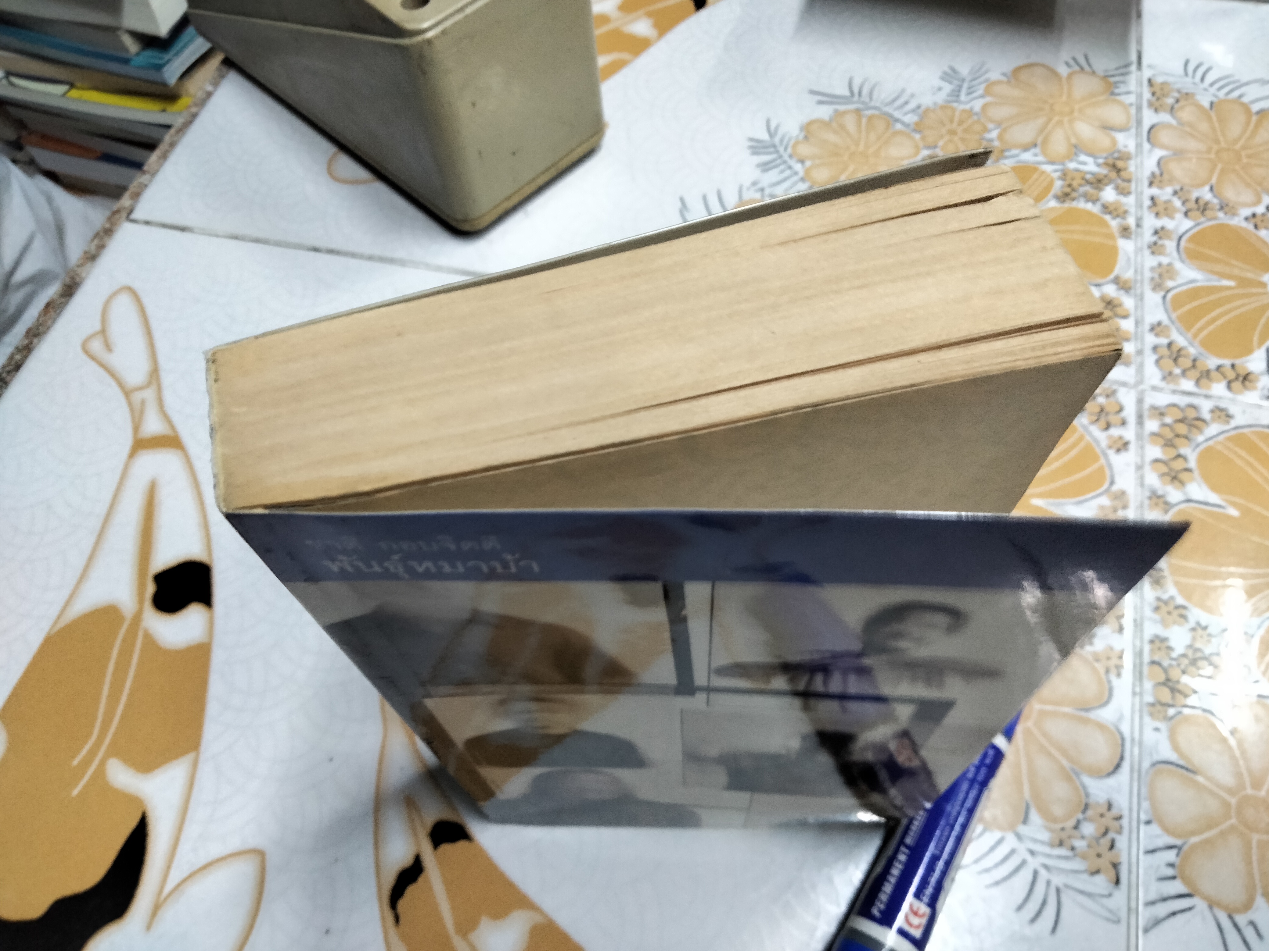 พันธุ์หมาบ้า - ชาติ กอบจิตติ (พิมพ์ครั้งที่ 17/2544) **สินค้าหมด**