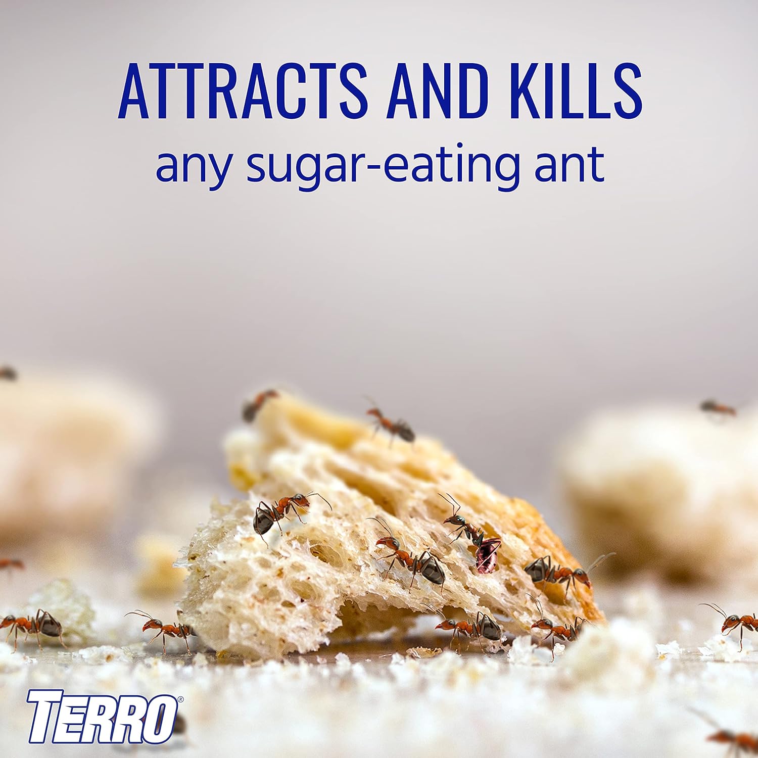 TERRO® T200 Liquid Ant Killer ll 59.144 cc ผลิตภัณฑ์กำจัดมด