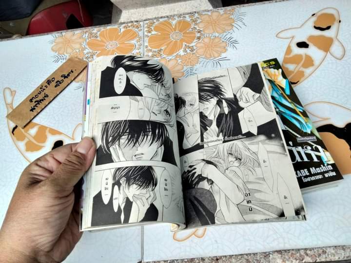 รักฤาเสน่หา (5 เล่มจบ-เช่า สภาพดี) ผลงานขุ โอซาคาเบะ มาชิน , ผู้วาด กรงรัก