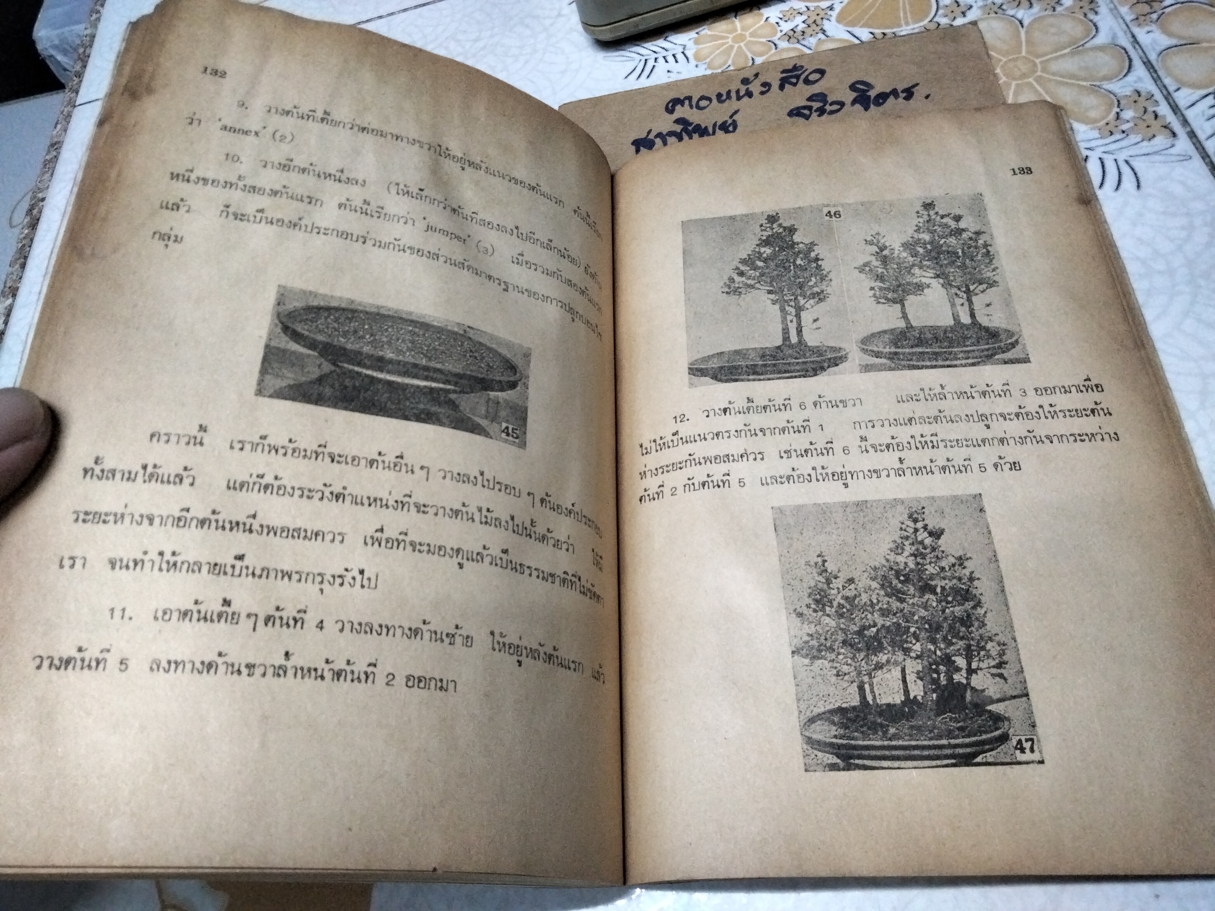 ตำราปลูกเลี้ยง และขยายพันธุ์ บอนไซ BONSAI โดยคณะอาจารย์วิทยาลัยเกษตรศาสตร์