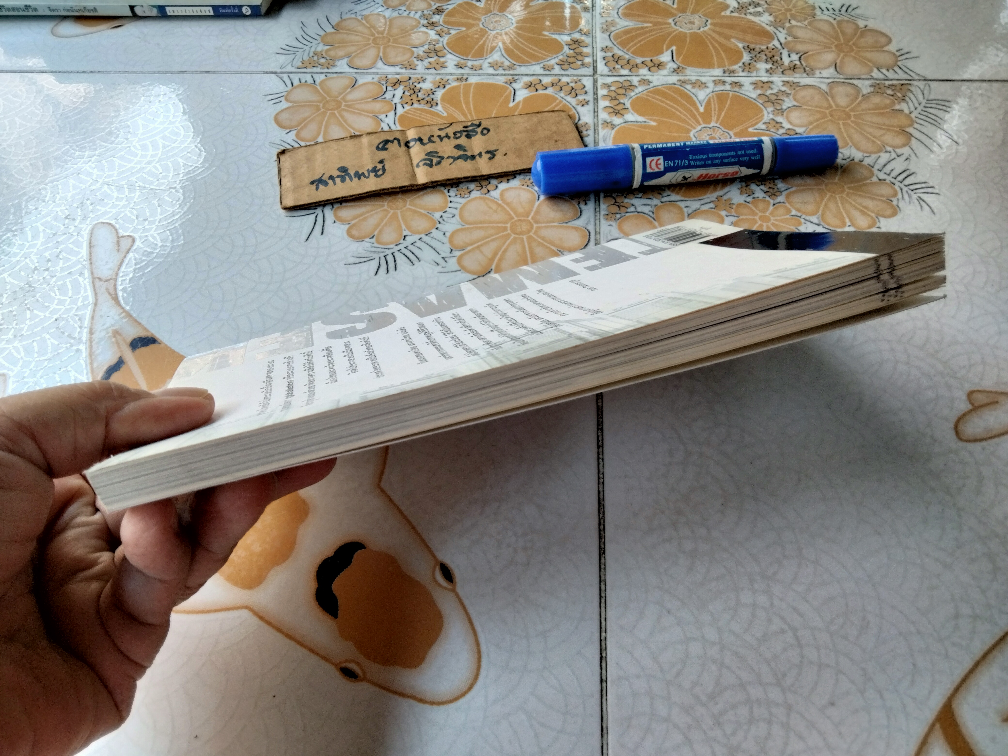 ถอดดีเอ็นเอ เทมาเส็ก ทุนยักษ์ผงาดโลก Temasek Holding and Singapore Unlimited โดย นภาภรณ์ พิพิฒน์. **สินค้าหมด**