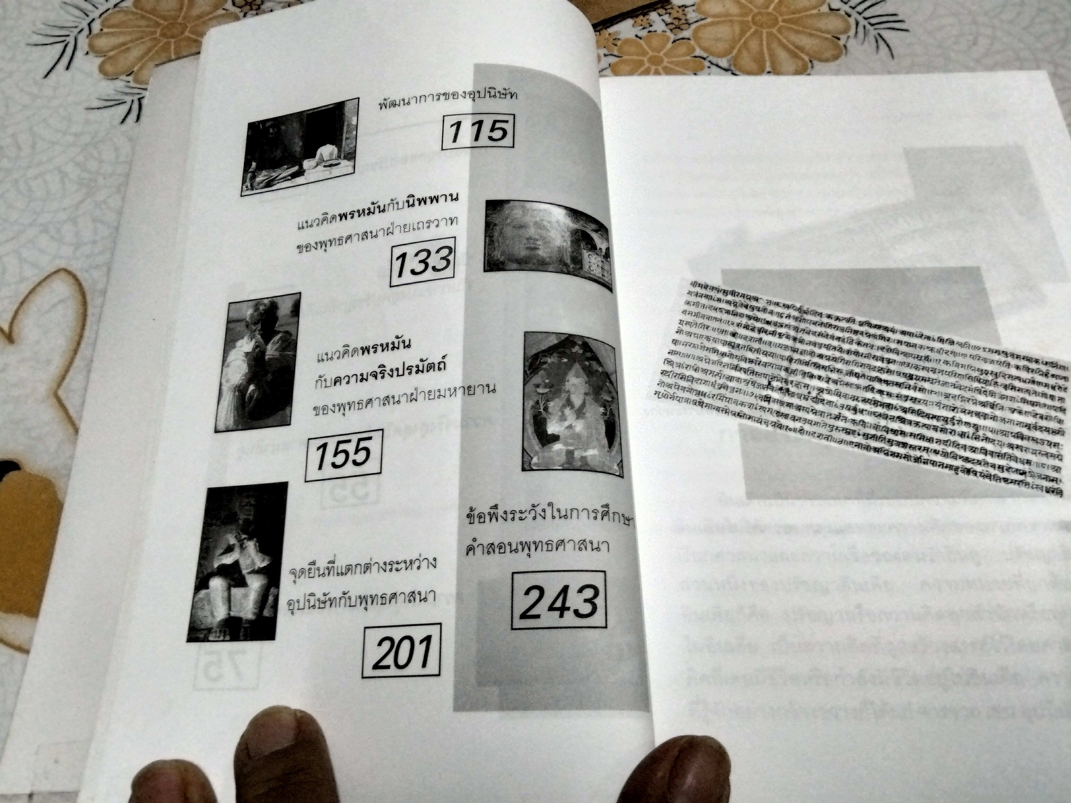 ฮินดู - พุทธ จุดยืนที่แตกต่าง โดย สุมาลี มหณรงค์ชัย พิมพ์ครั้งแรก พ.ศ.2546 **สินค้าหมด**