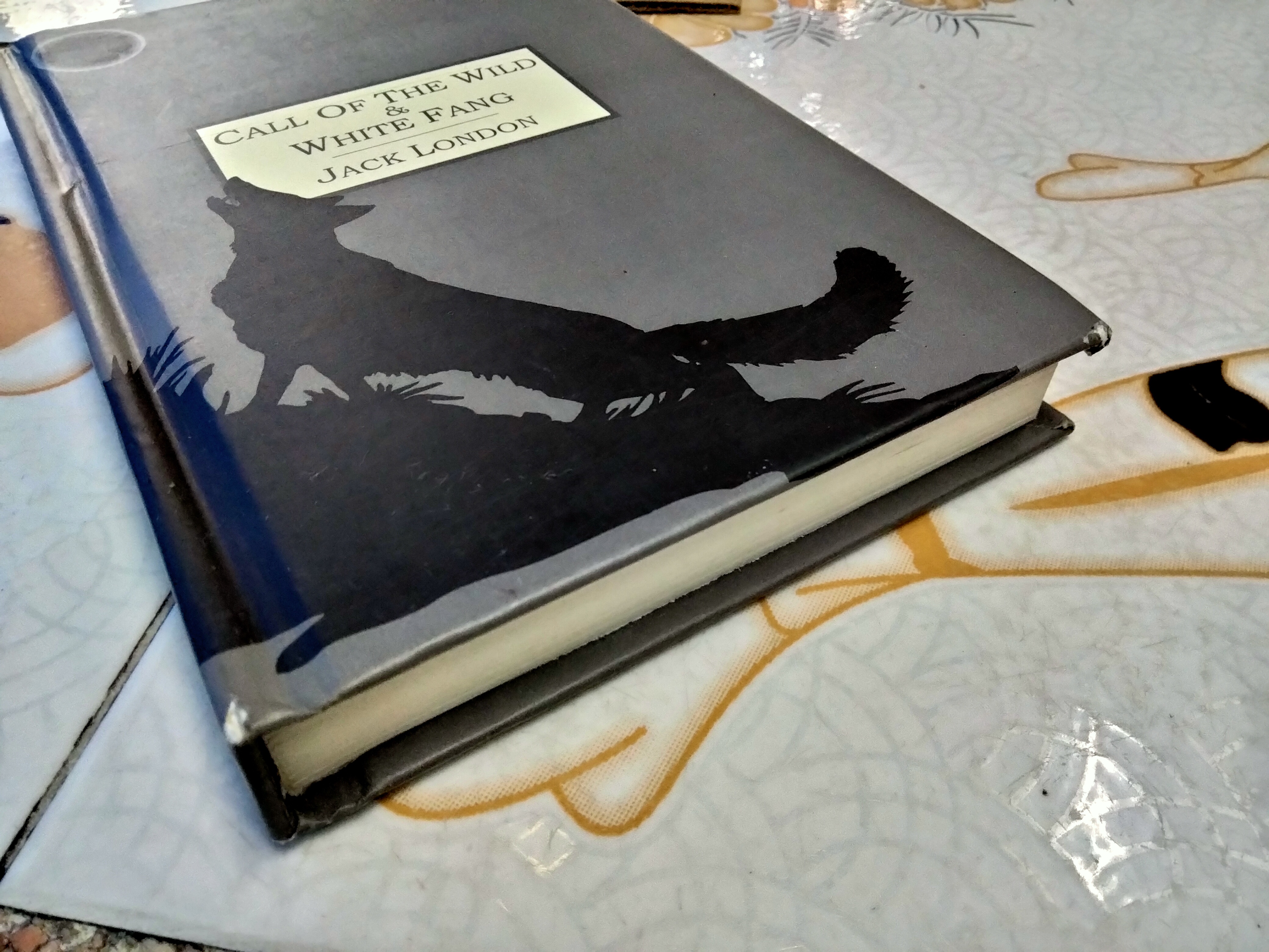 Call of the Wild & White Fang by Jack London . vivi books 2004 ,