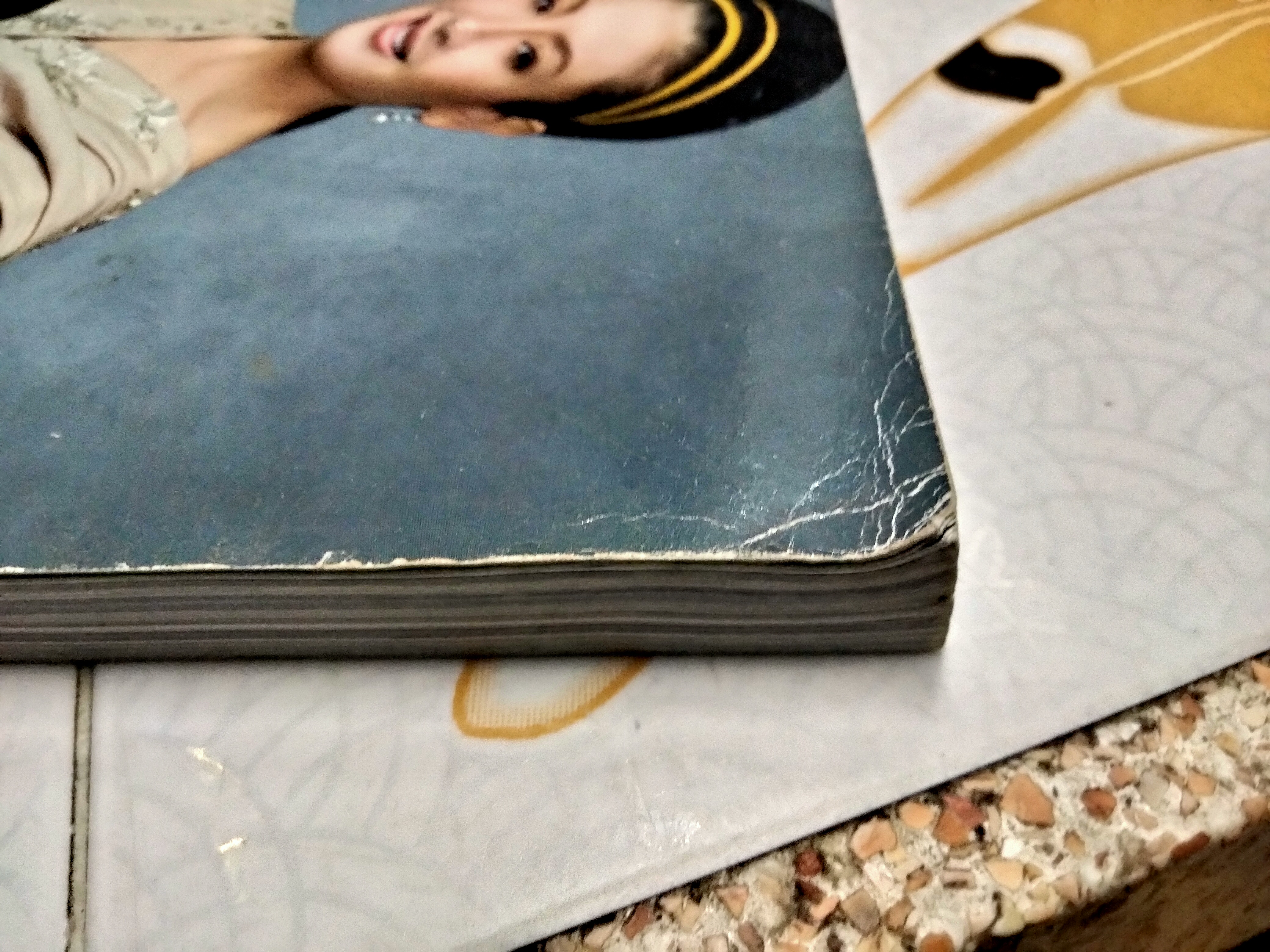 นิตยสาร LIPS LUXE ปก หม่อมศรีรัศมิ์ - พระองค์เจ้าทีปังกรรัศมีโชติ **สินค้าหมด**