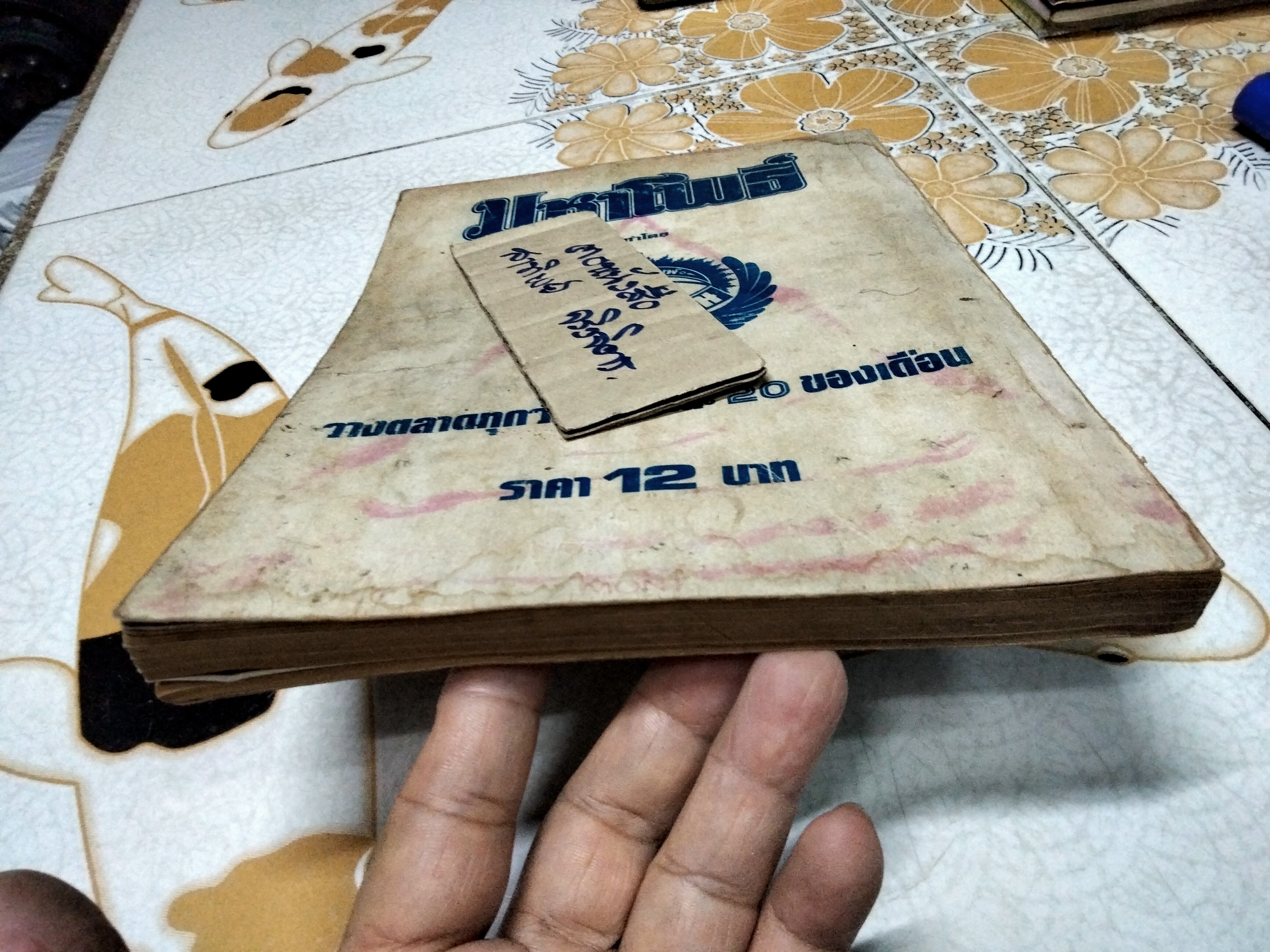 รวมเล่ม มหาโพธิ์ ชุดที่ 1 (เล่ม1-5) **สินค้าหมด**