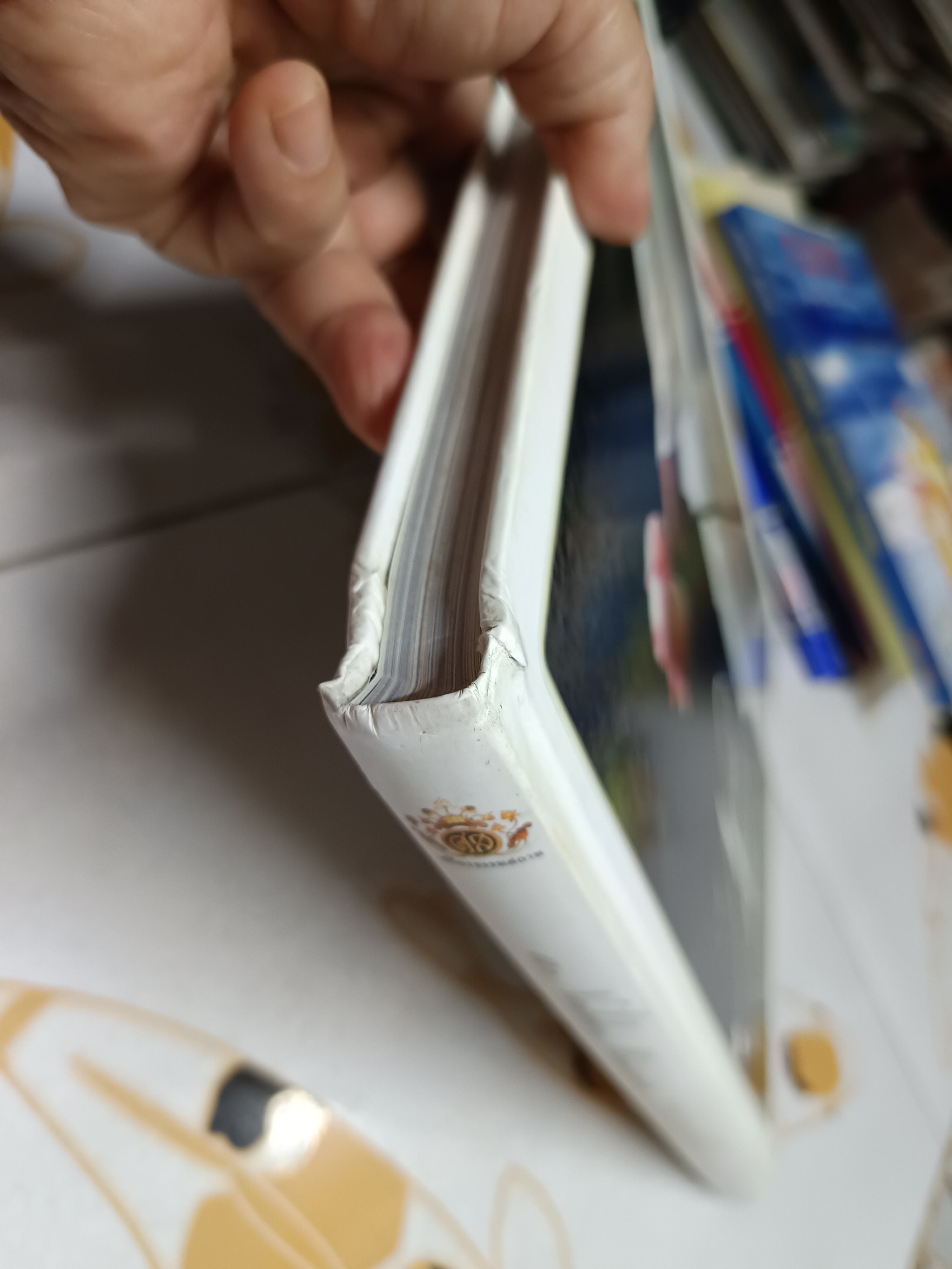 กรุณาแห่งหัวใจ A NOBLE MISSION โดย แม่ชีศันสนีย์ เสถียรสุต (ไม่มีใบหุ้มปก)