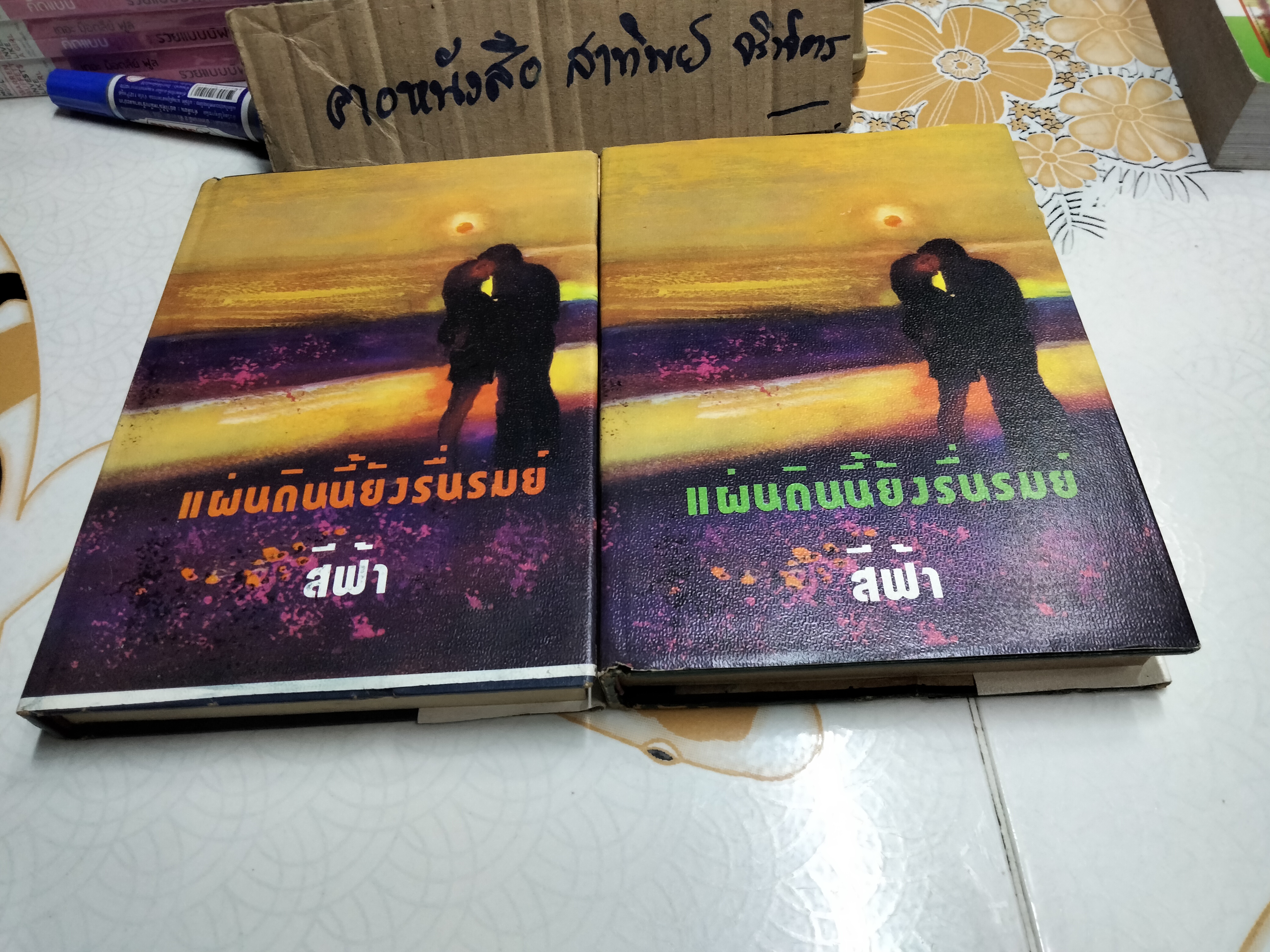 แผ่นดินนี้ยังรื่นรมย์ (2 เล่มจบ) - สีฟ้า **สินค้าหมด**