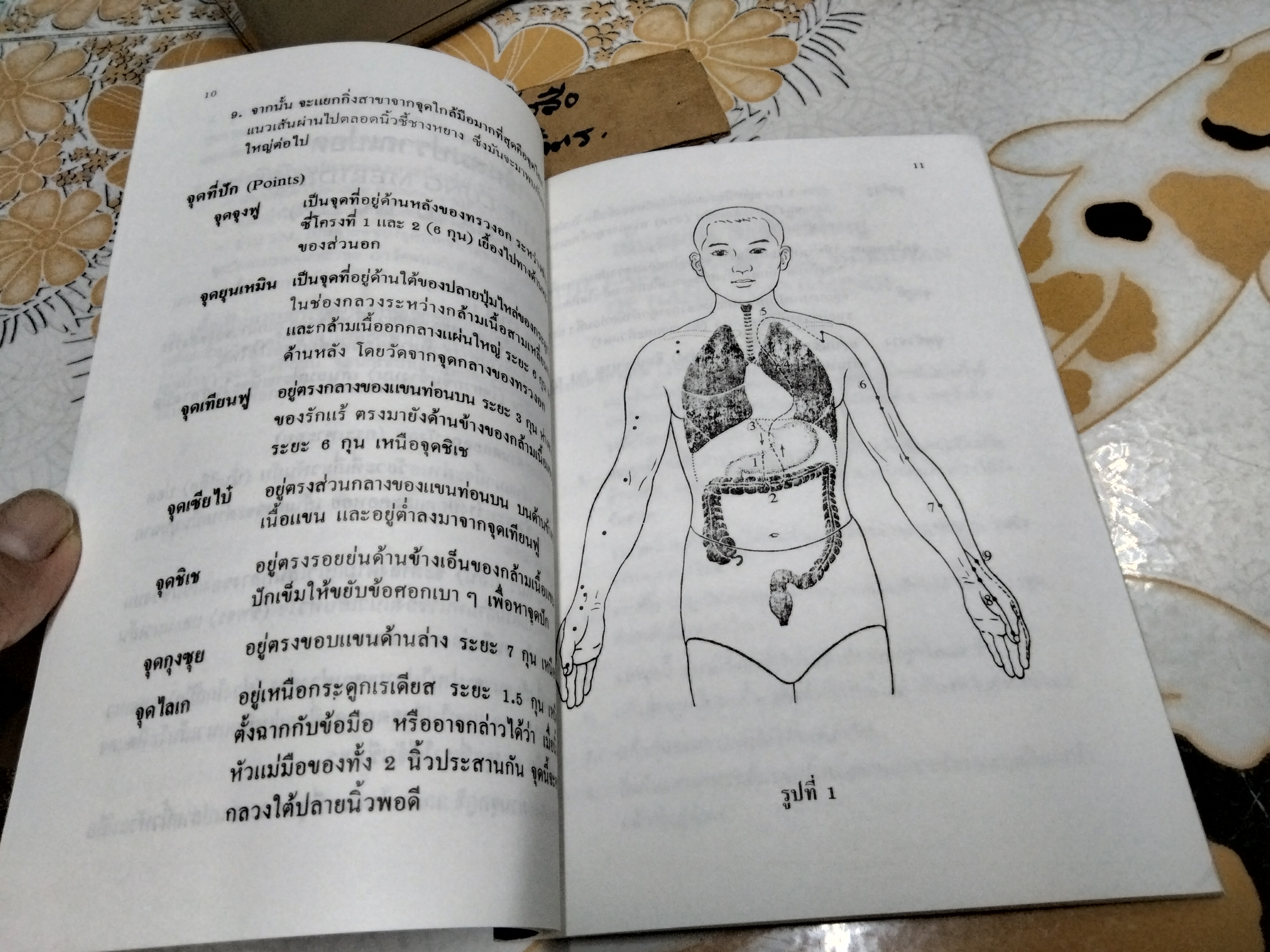 กายวิภาคศาสตร์ของจุดปักเข็มและเส้นลมปราณ 14 เส้น แปลโดย รศ.พัฒน์ สุจำนงค์ **สินค้าหมด**