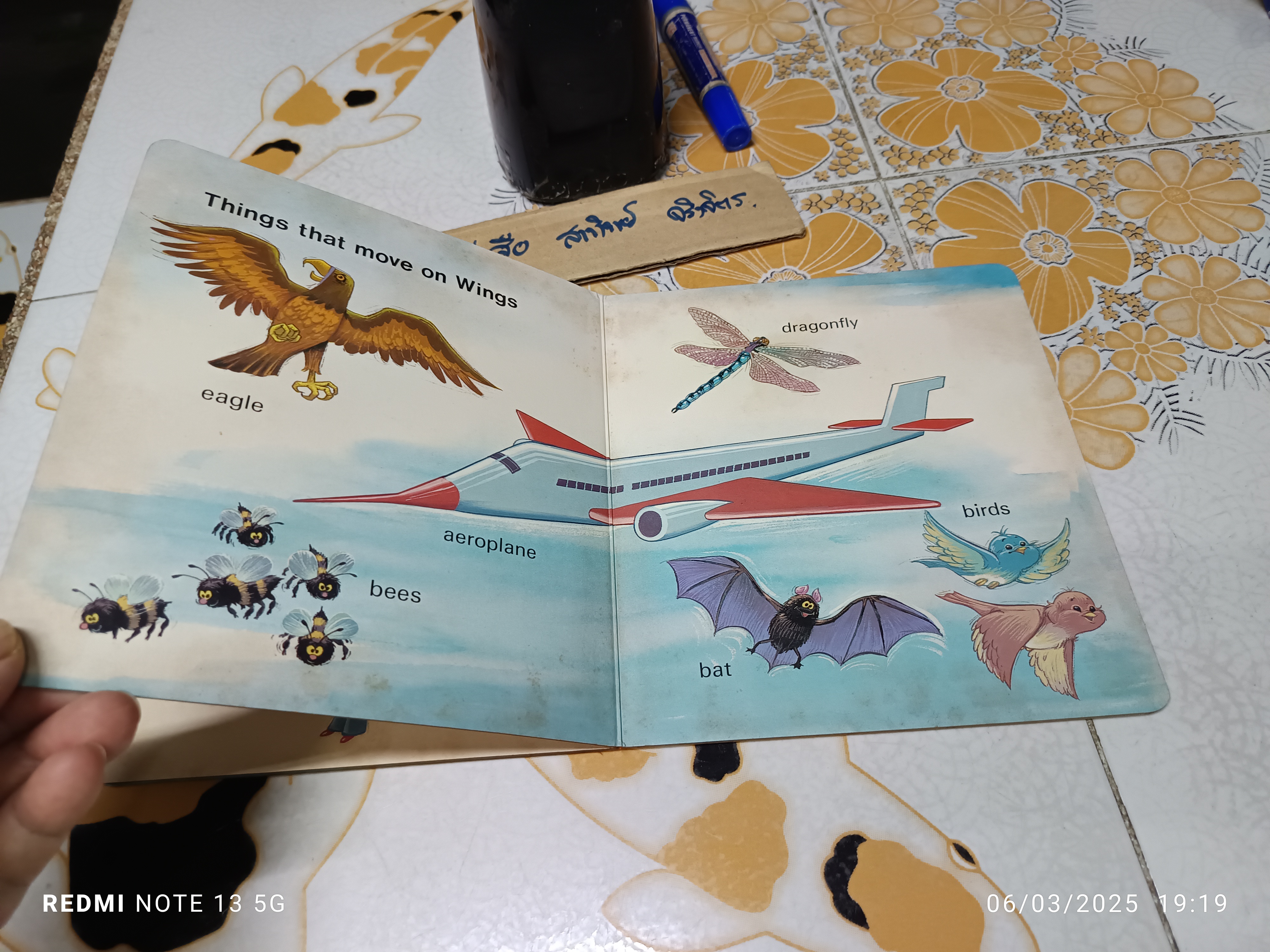 THINGS THAT MOVE - A Dean Board Book , vintage 1983