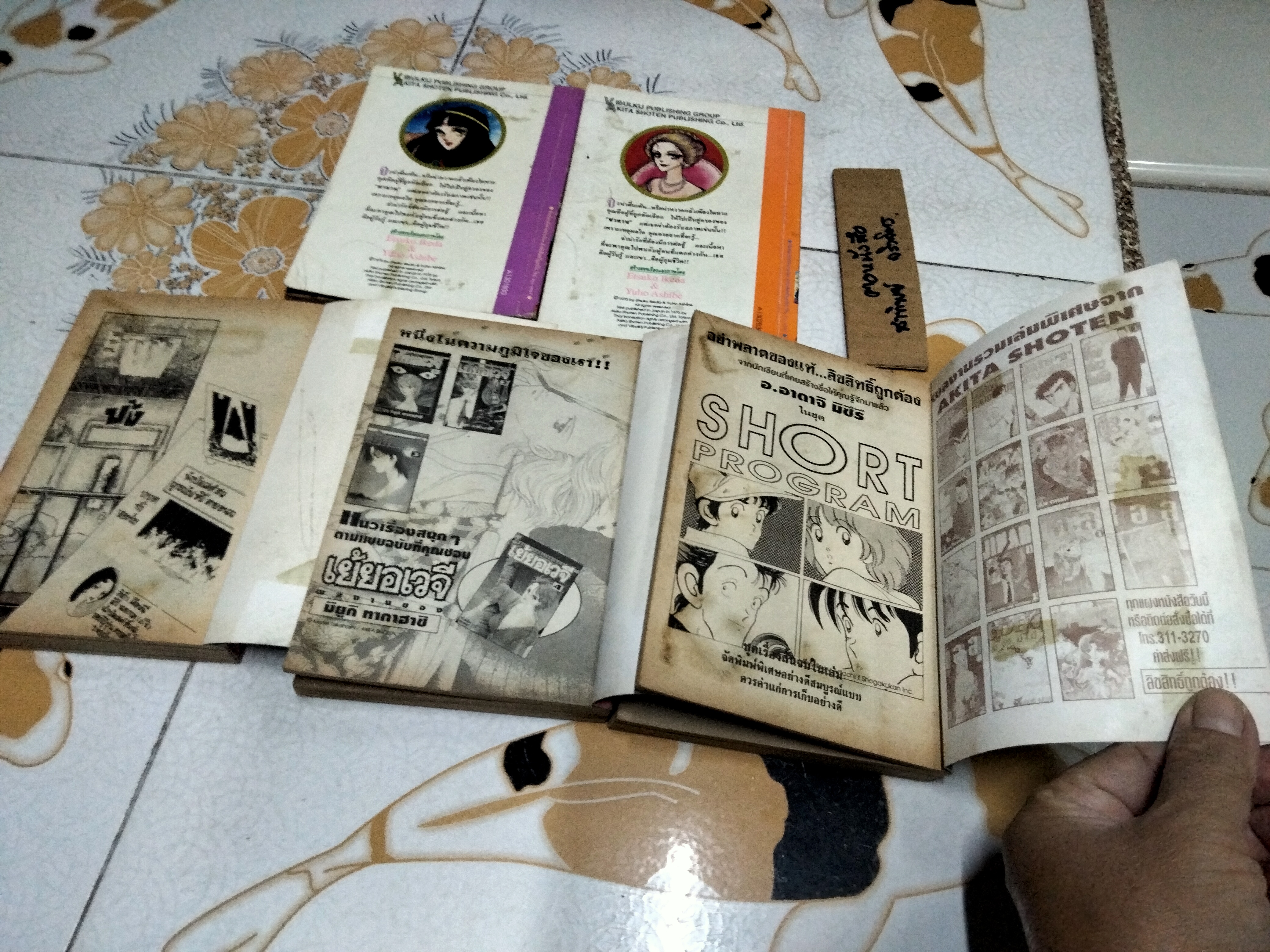 จอมใจอสูร สนพ.วิบูลย์กิจ ครบชุด 1-5 โดย ETSUKO IKEDA & YUHO ASHIBE