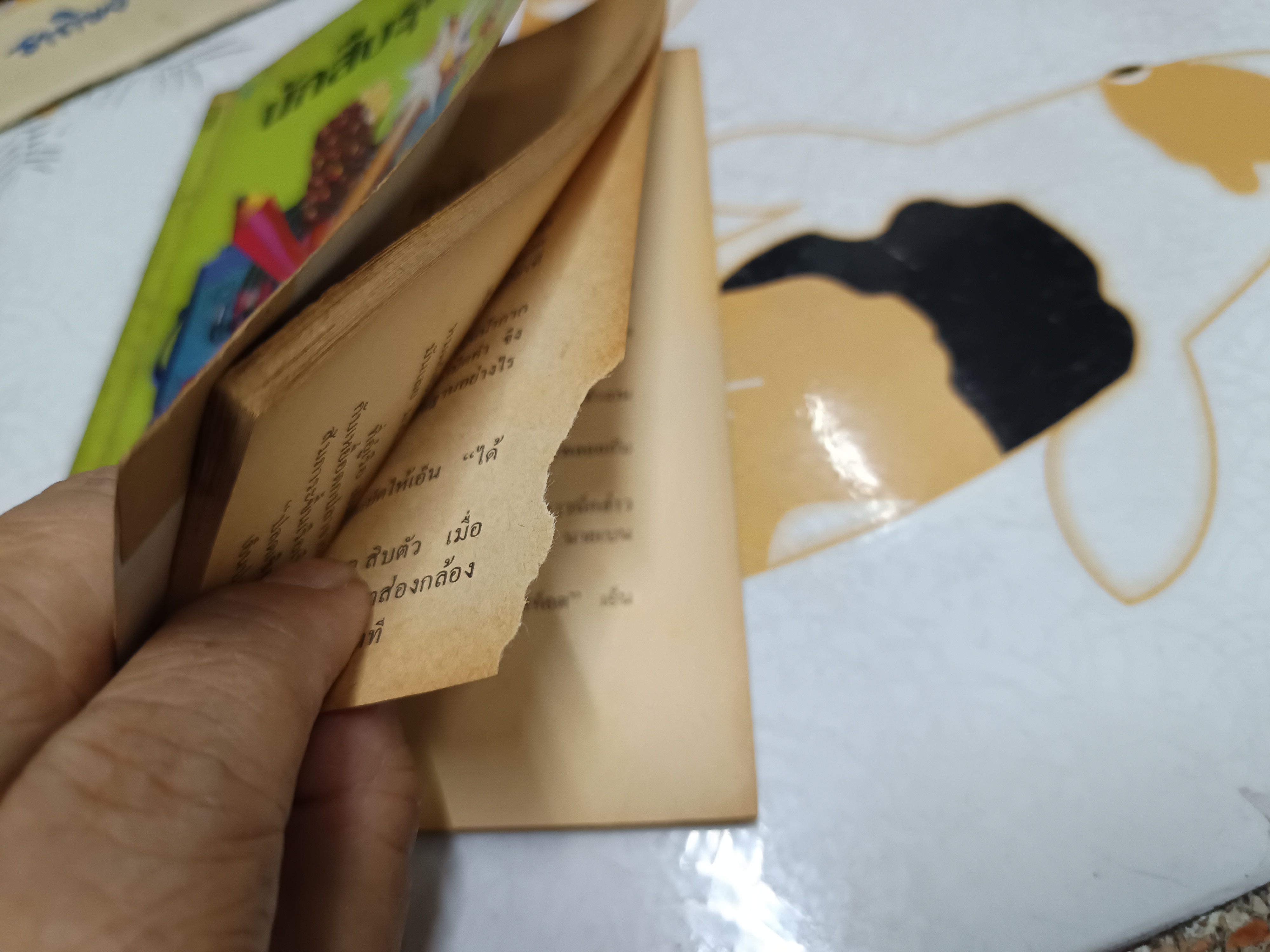 ึนักสืบรุ่นจิ๋ว (Encyclopedia Brown) เขียน : โดนัล เจ. โซโบล (Donald J. Sobol) / นิยายนักสืบสำหรับเยาวชนเรื่องแรกที่ได้รับรางวัล เอ็ดการ์ อลัน โพ ประจำปี ค.ศ. 1976