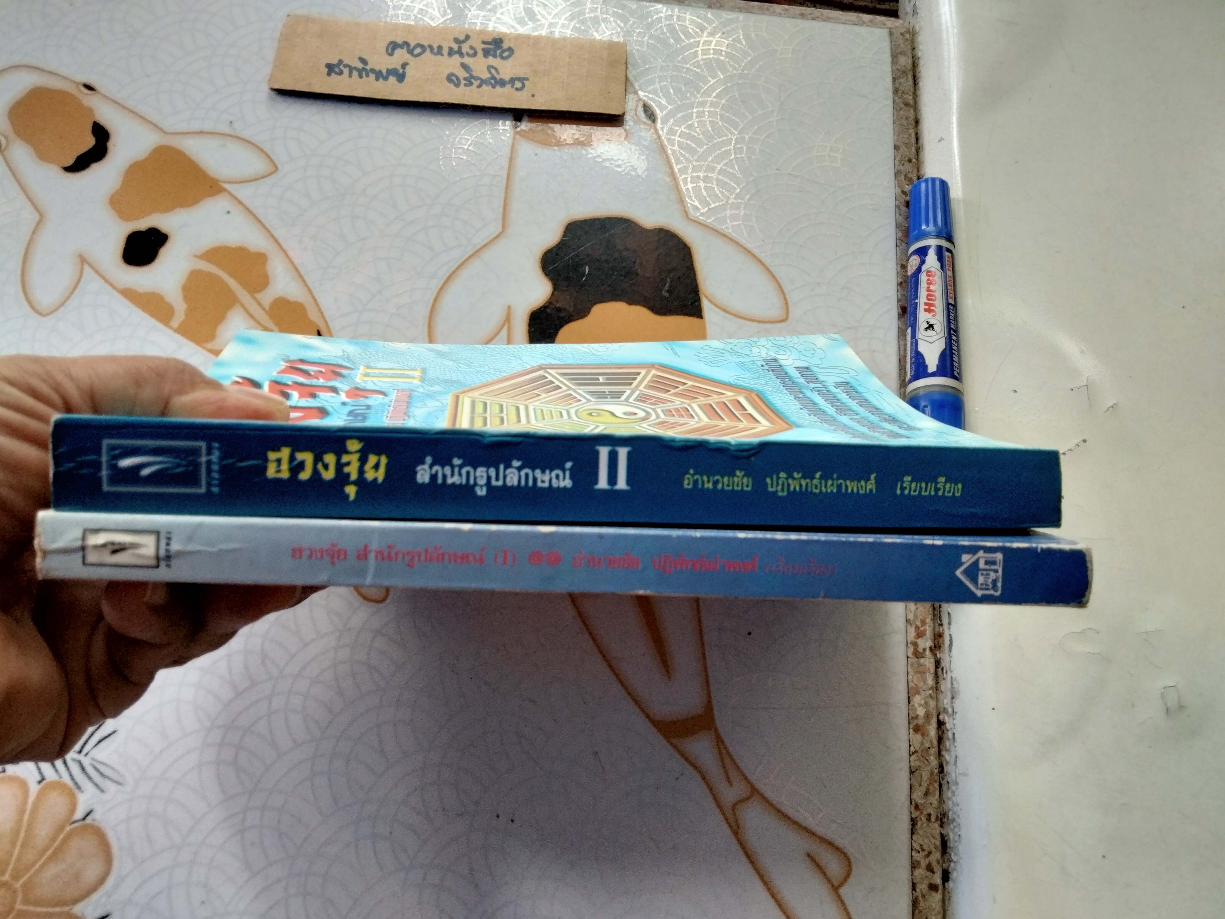 ฮวงจุ้ย สำนักรูปลักษณ์ เล่ม 1-2 โดย อำนวยชัย ปฏิพัทธ์เผ่าพงศ์ **สินค้าหมด**