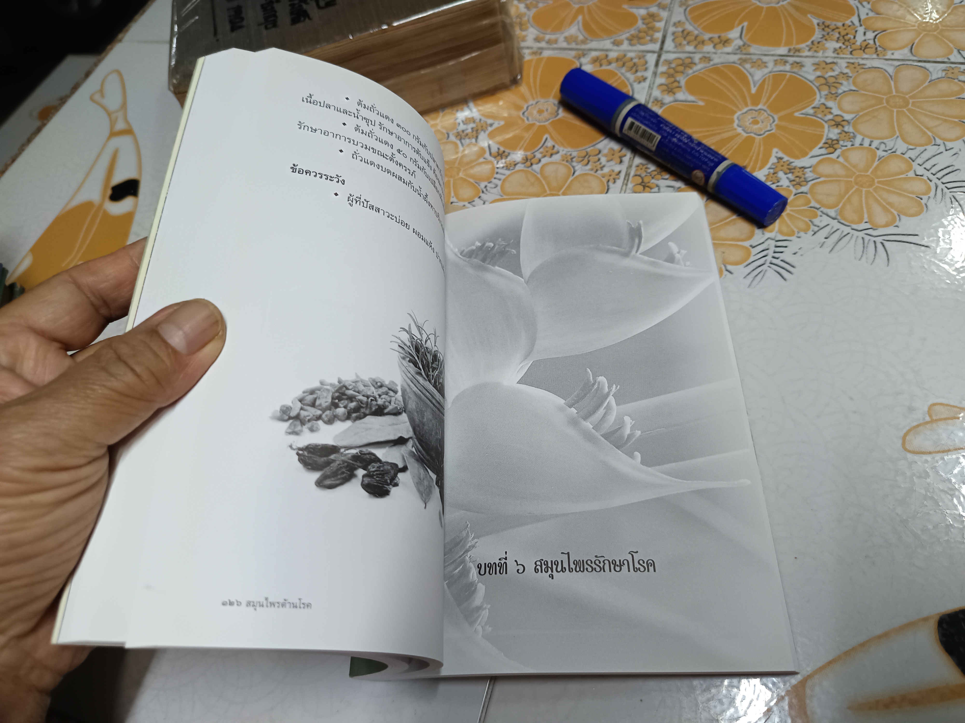 หนังสืออนุสรณ์ ท่านหญิงไตรทิพย์สุดา วิเศษกุล (เกษมสันต์) **สินค้าหมด**